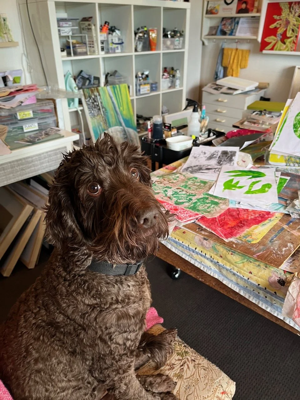 Waldo Pickles - Studio Assistant