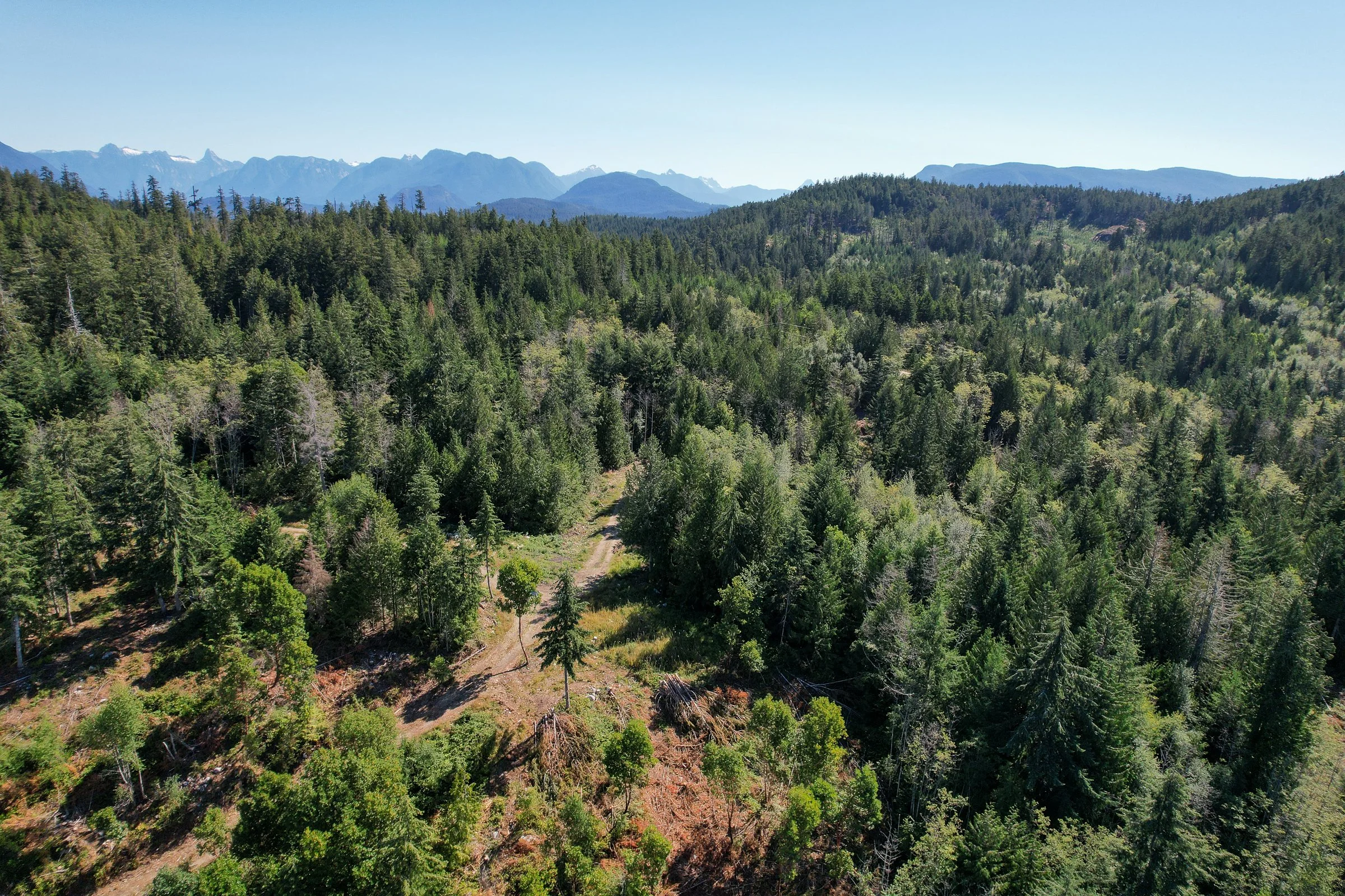 BASECAMP_6JUL2024_DJI_0812-2.jpg