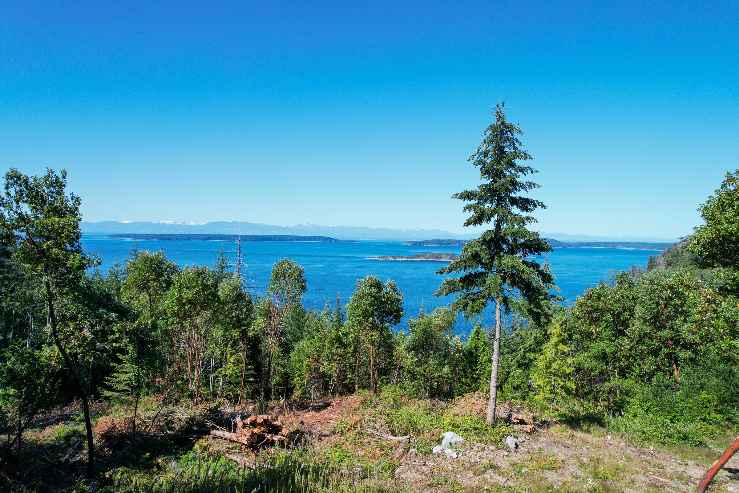 BASECAMP_6JUL2024_DJI_0807-2.jpg