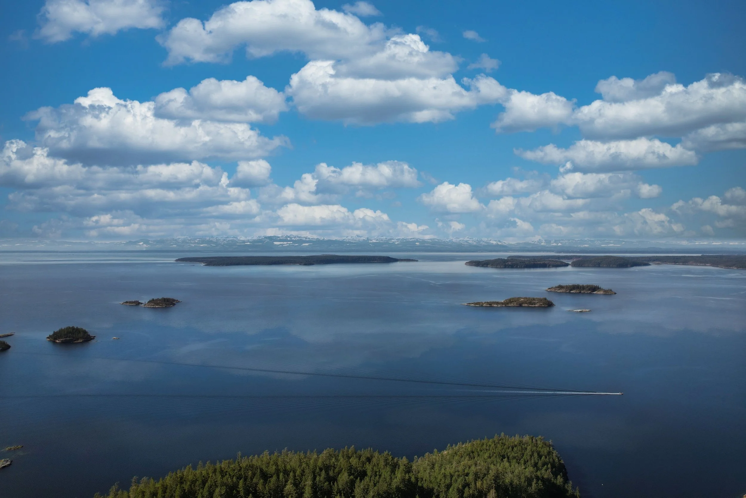 DJI_0638.jpg