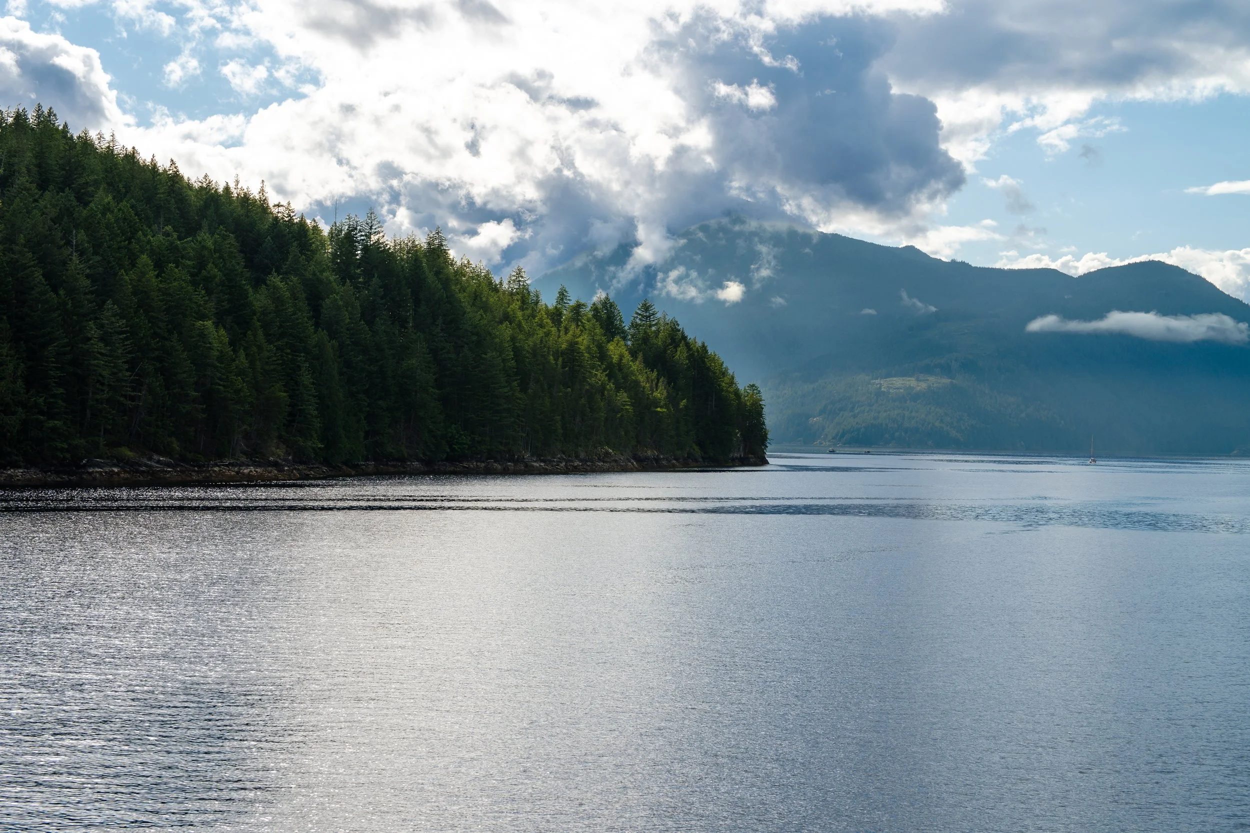 POWELL RIVER_JULY2026_Z6III_DSC_6559.jpg