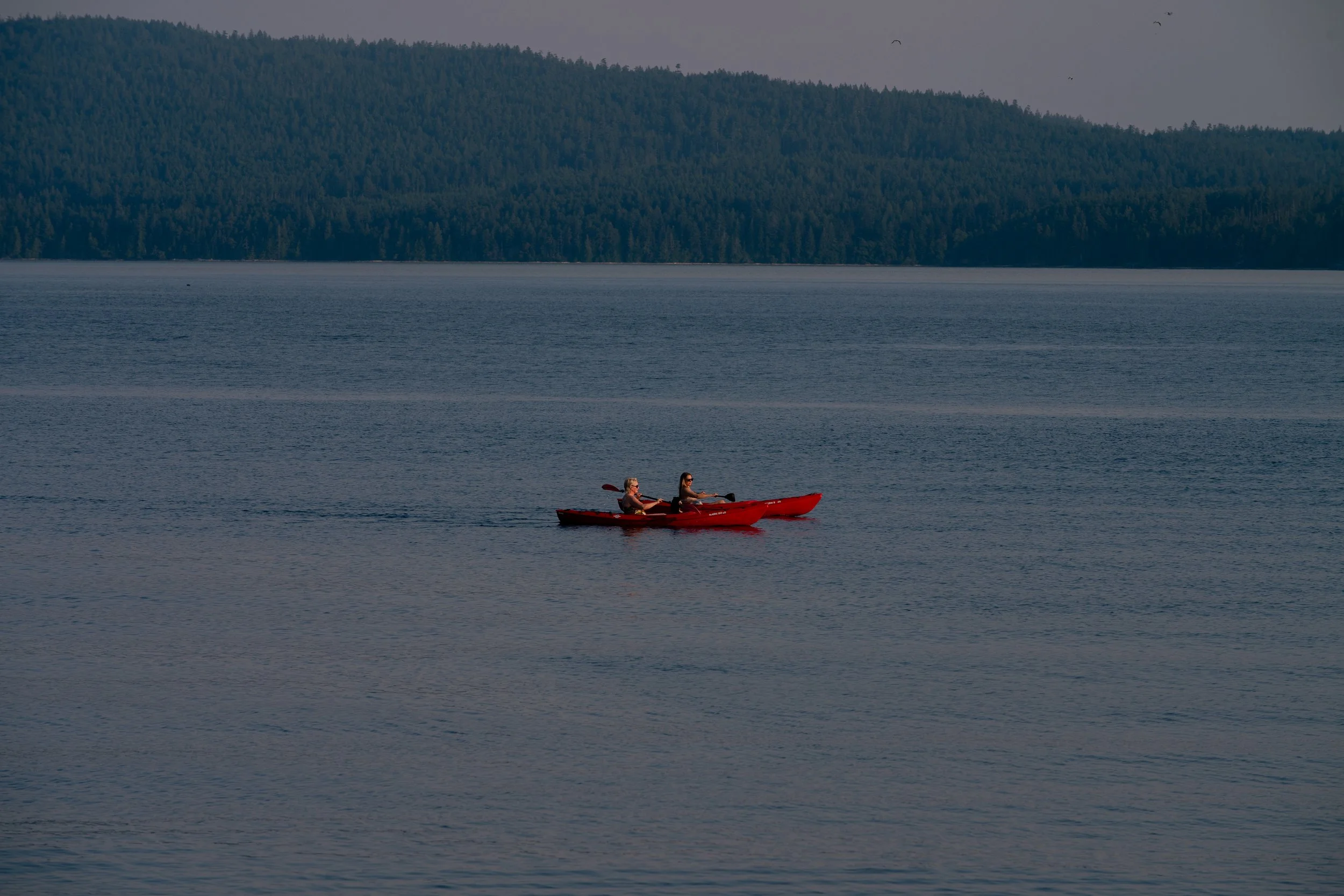 POWELL RIVER_JULY2026_Z6III_DSC_6624.jpg