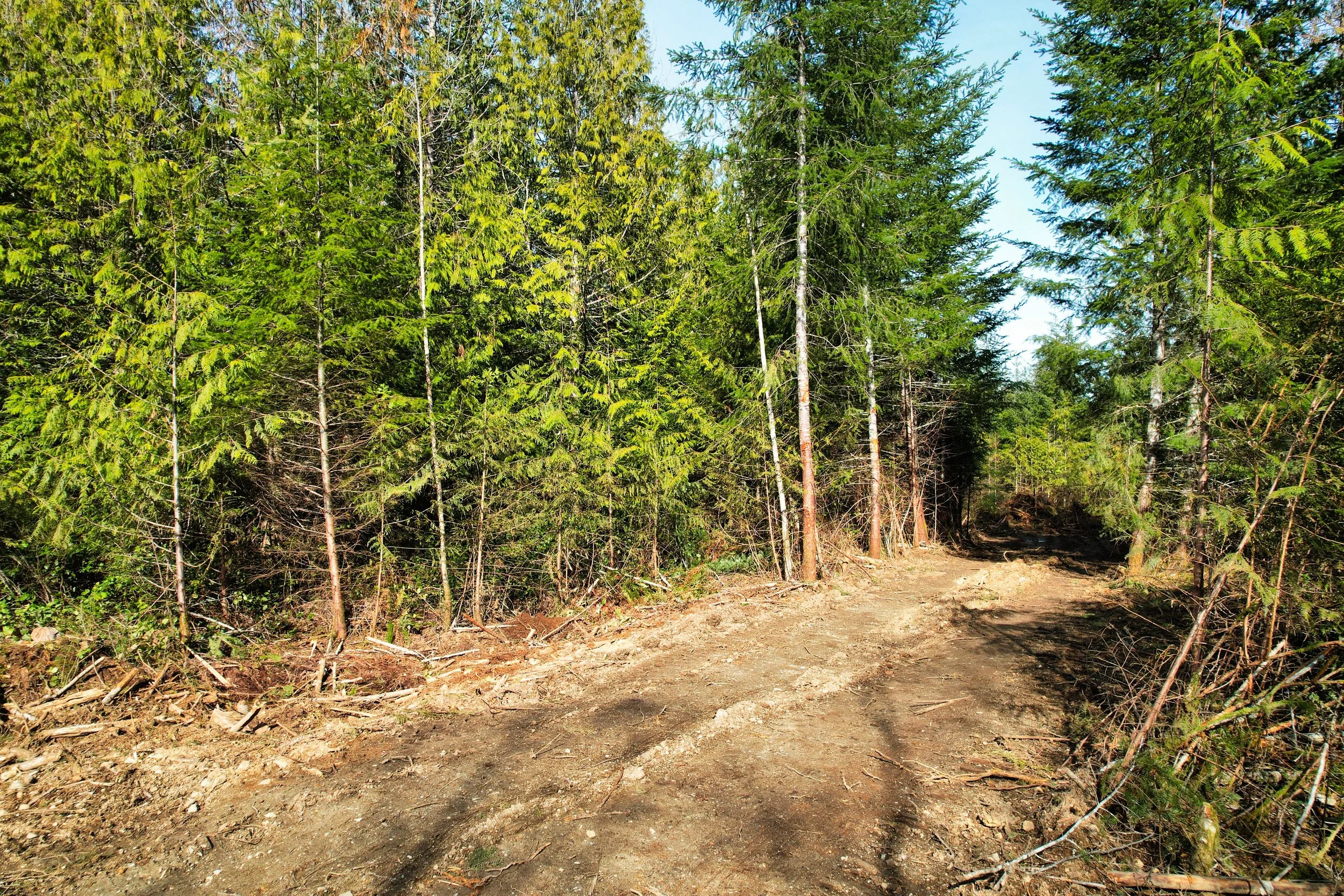 LOT 25 - 17.jpg