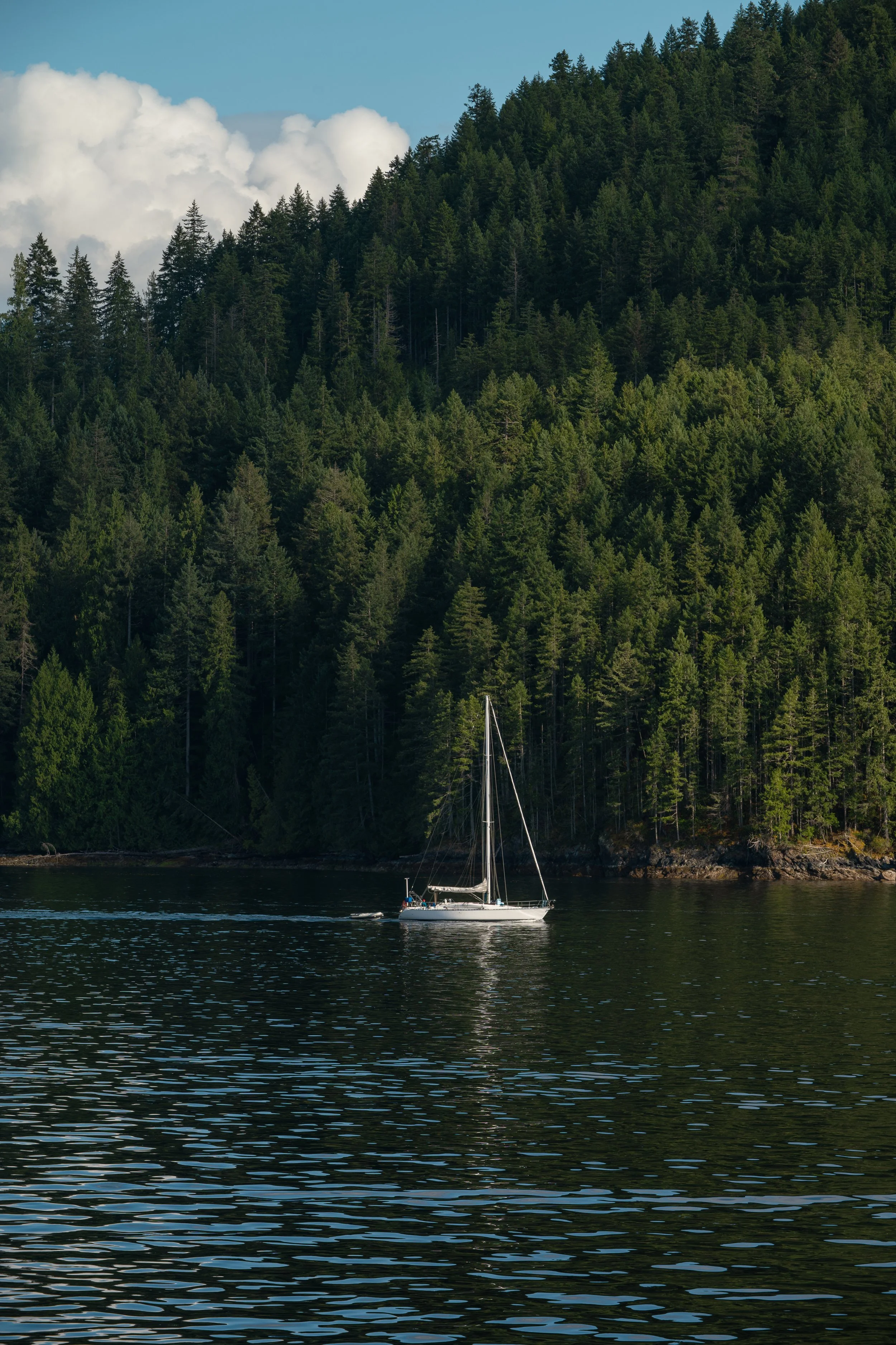 POWELL RIVER_JULY2026_Z6III_DSC_6577.jpg