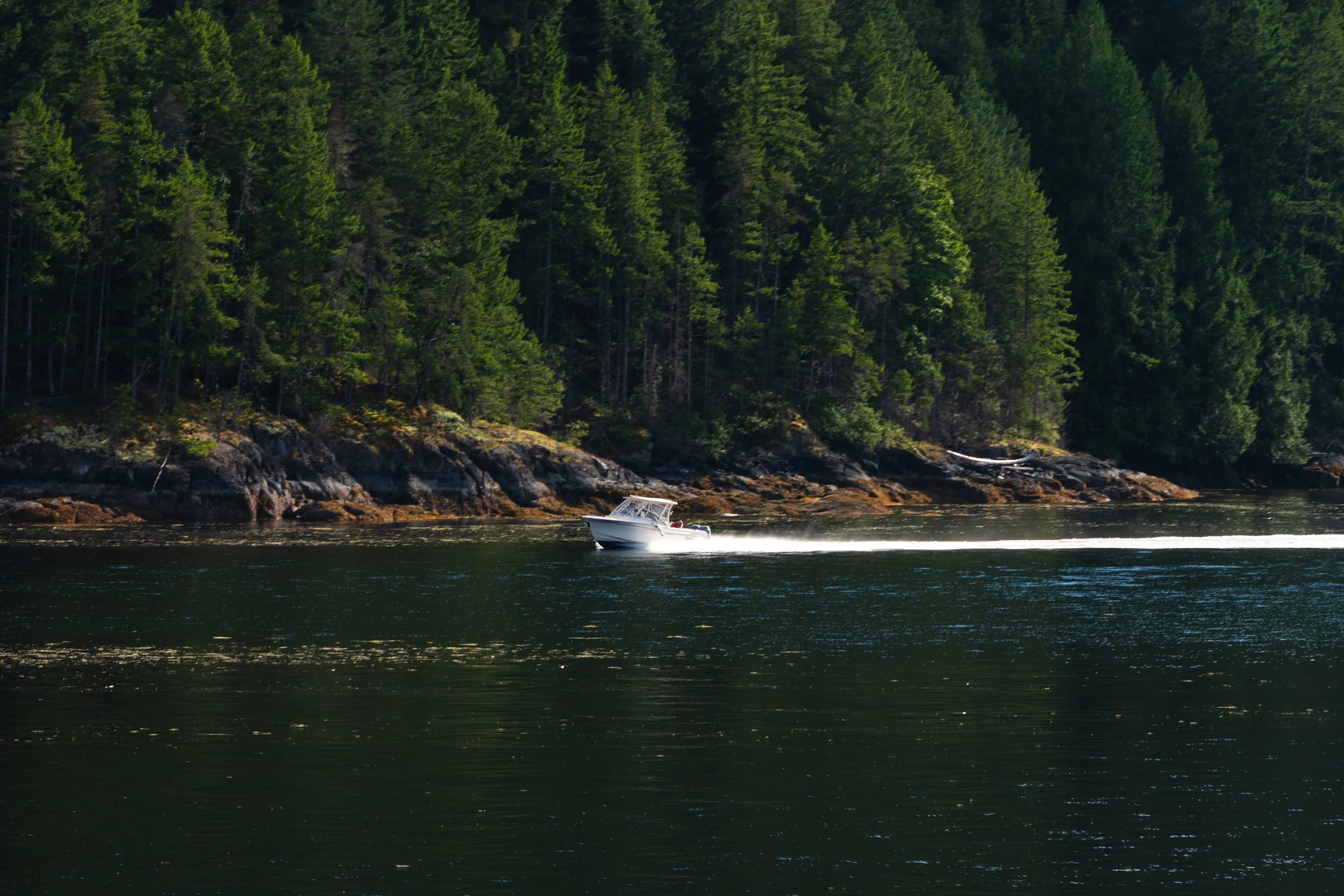 POWELL RIVER_JULY2026_Z6III_DSC_6570.jpg