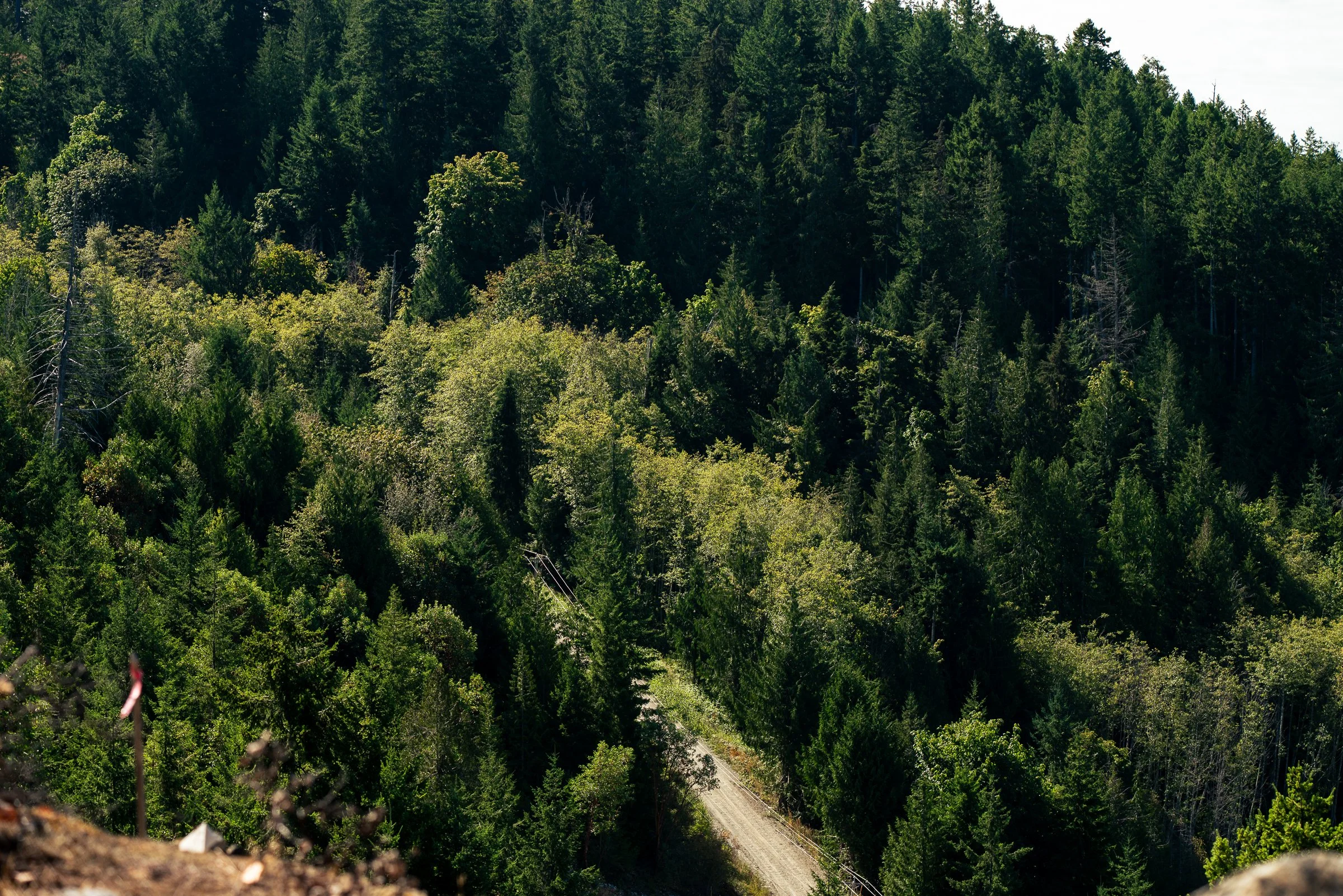 BASECAMP_JULY2025_CRCS_DSC8871-2.jpg