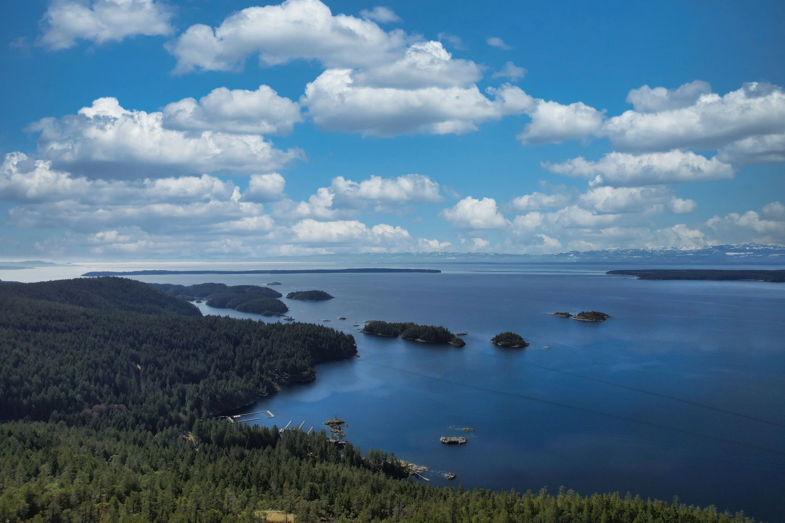 View 1.jpg