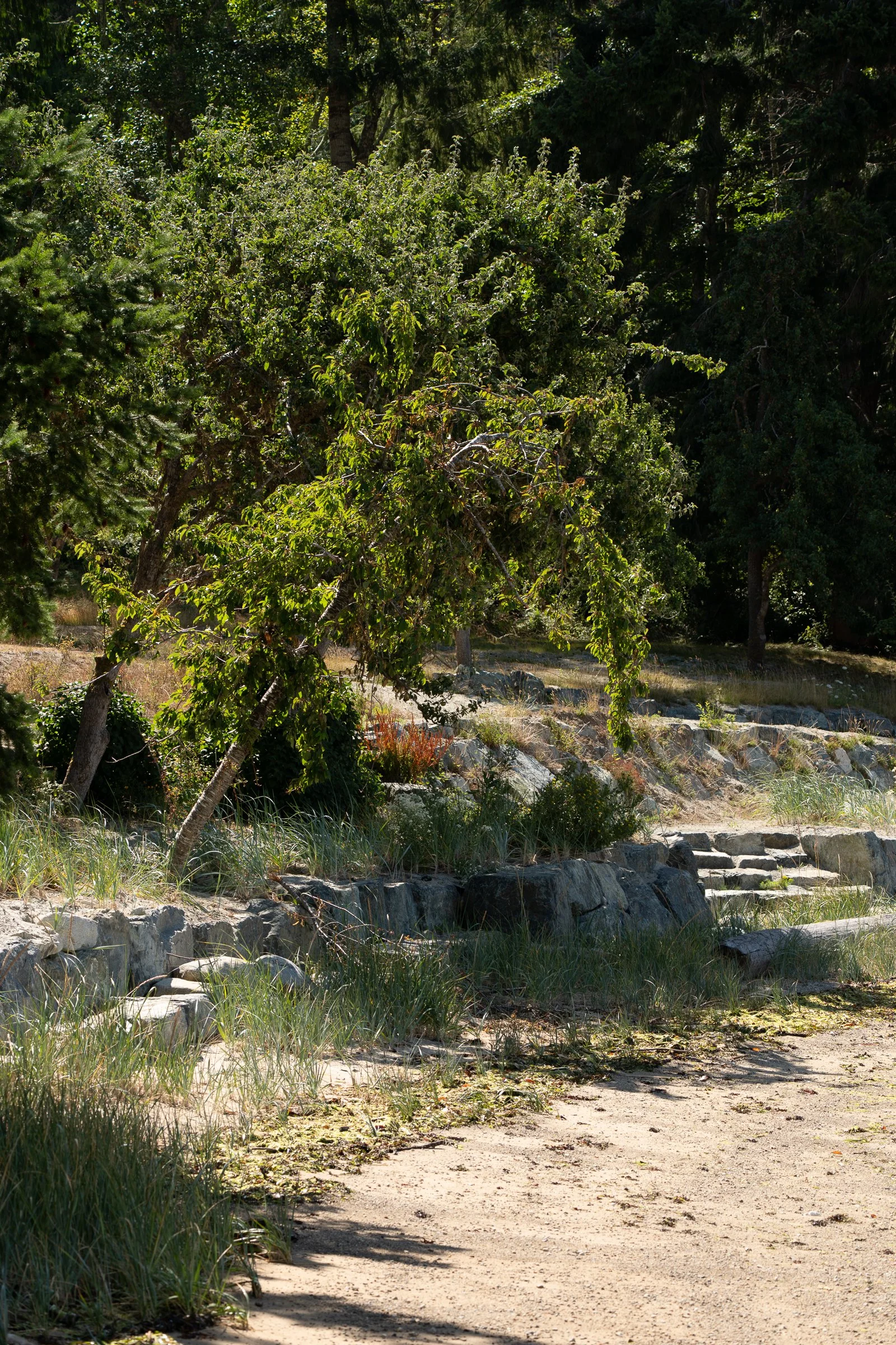 BASECAMP_JULY2025_CRCS_DSC8969-2.jpg
