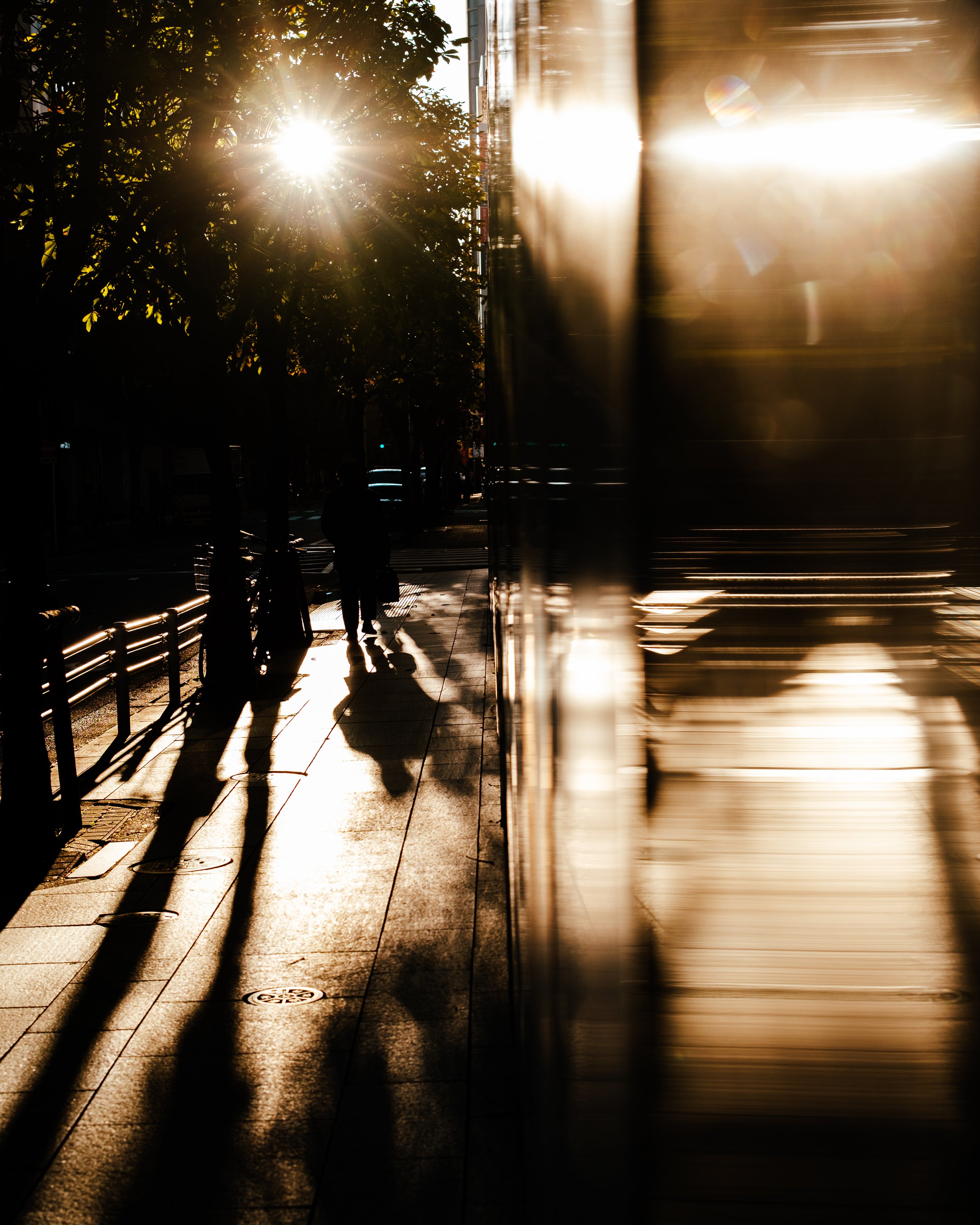 DSCF7651.jpg