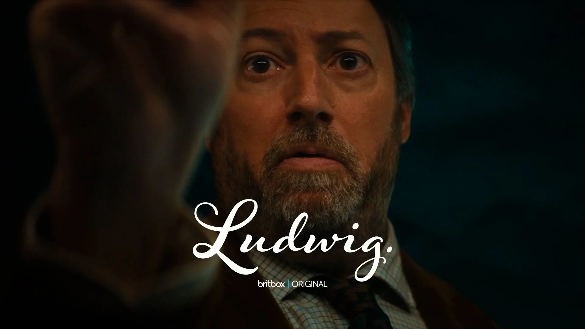 LUDWIGTVC5.jpg