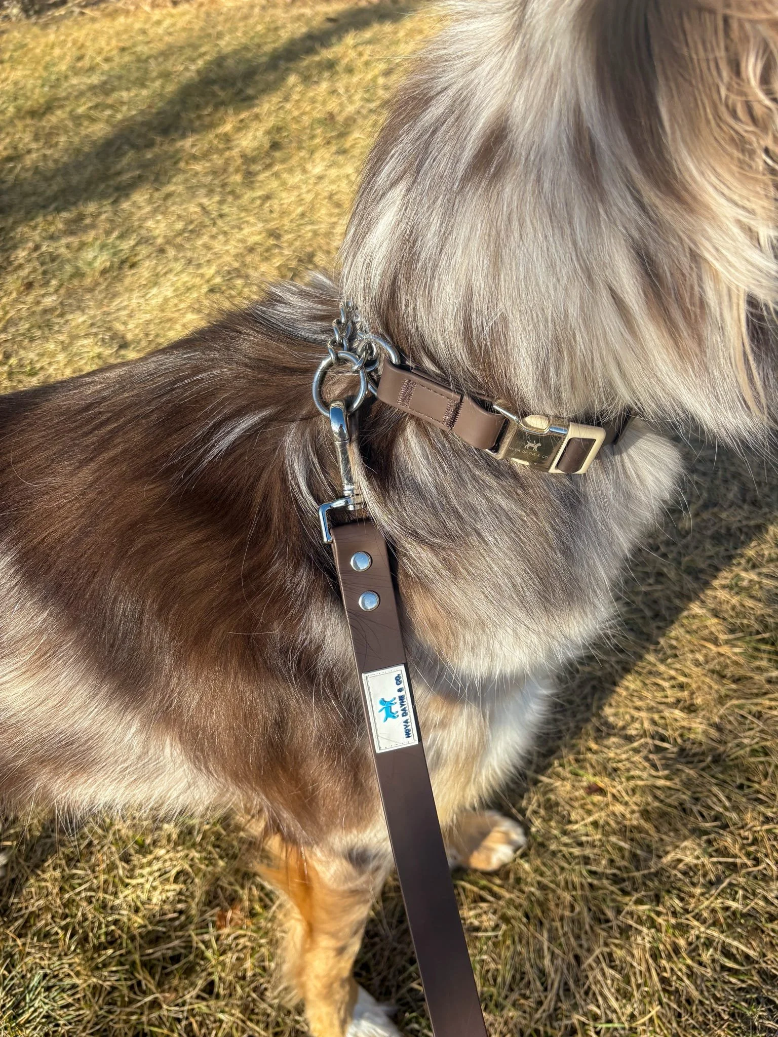 be11221e-d0c0-4ee2-9315-2e2191c473ed (1).jpg