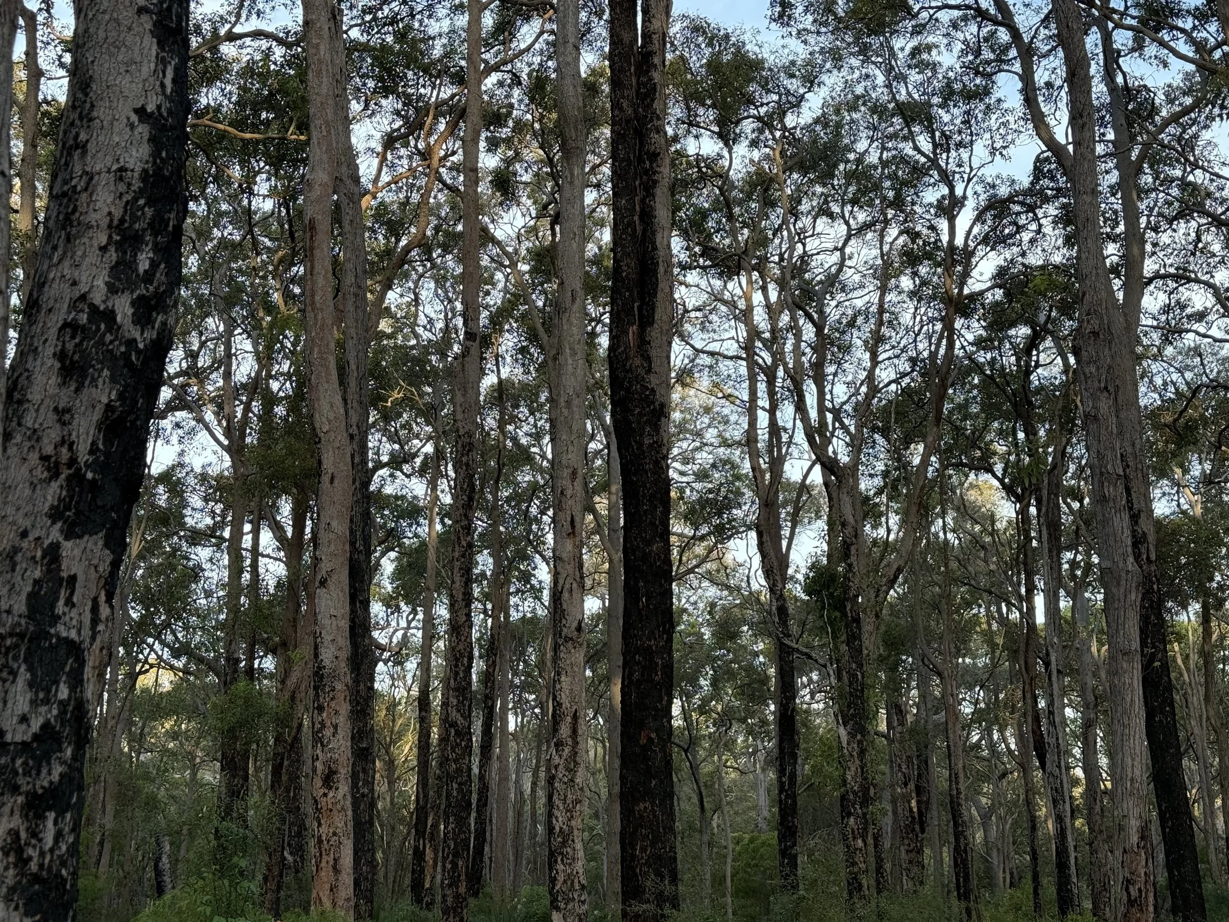 Starting the new year strong!