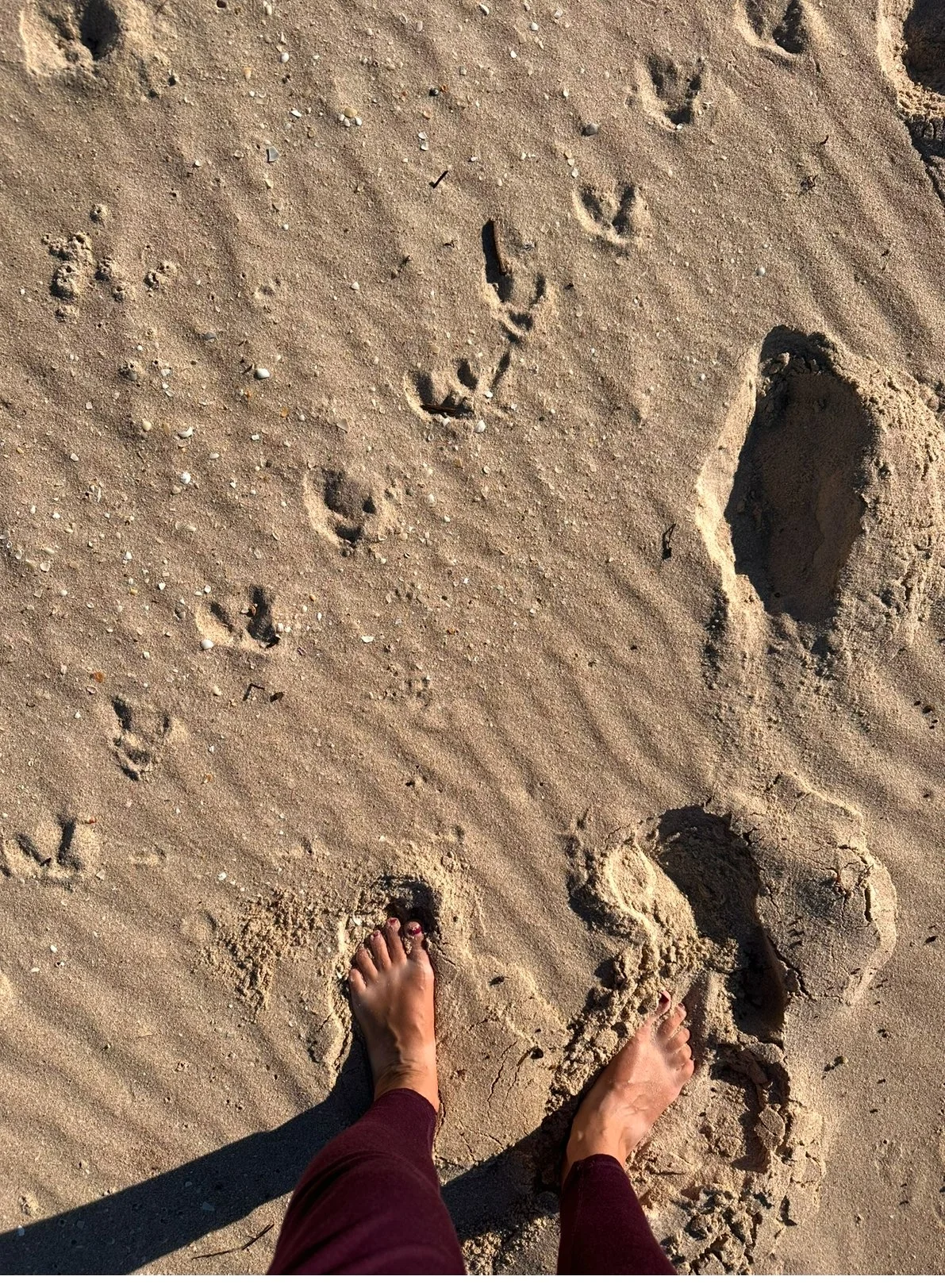 3-Minute Grounding Reset