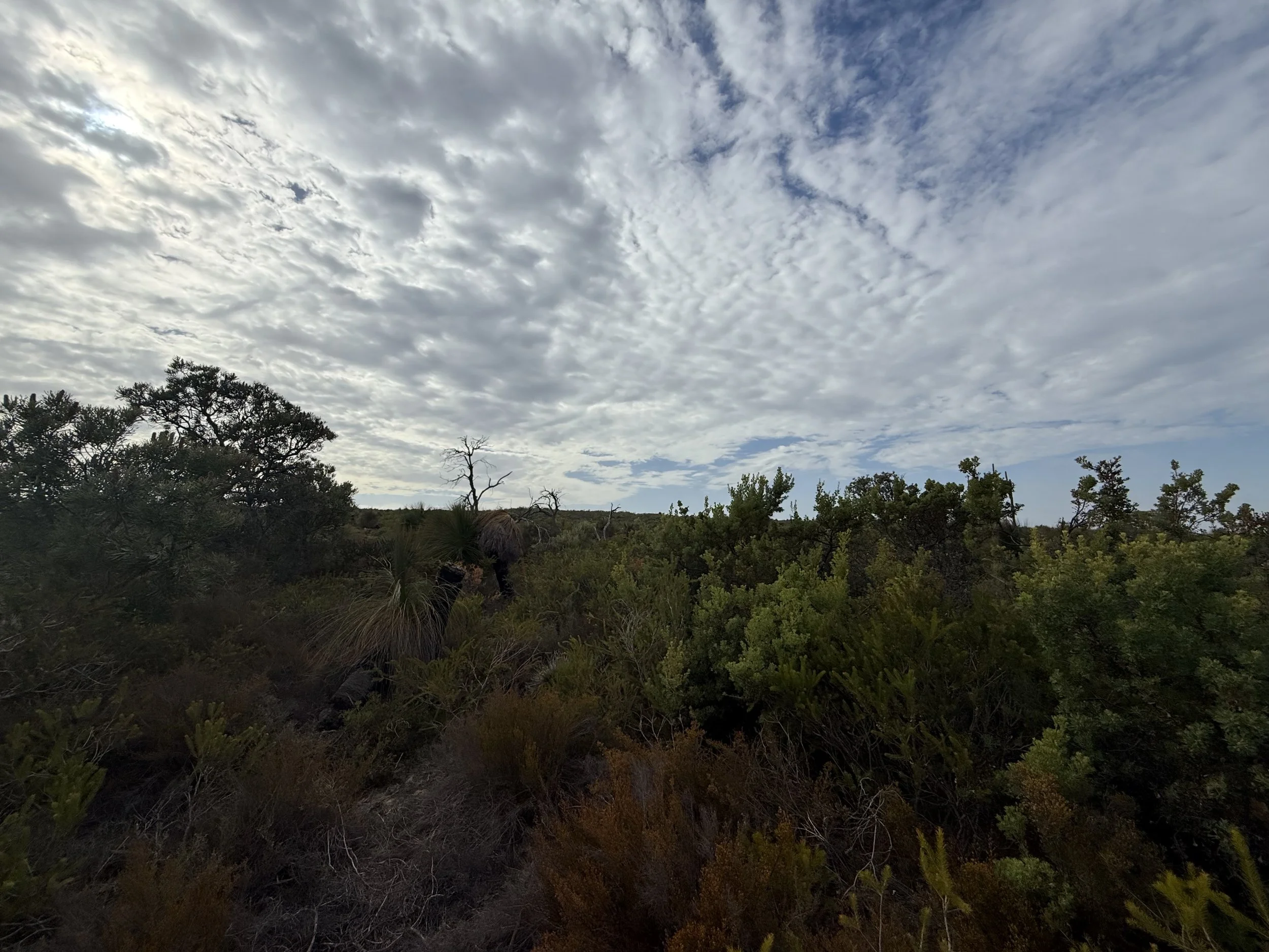 3-Minute Staying True to You Practice