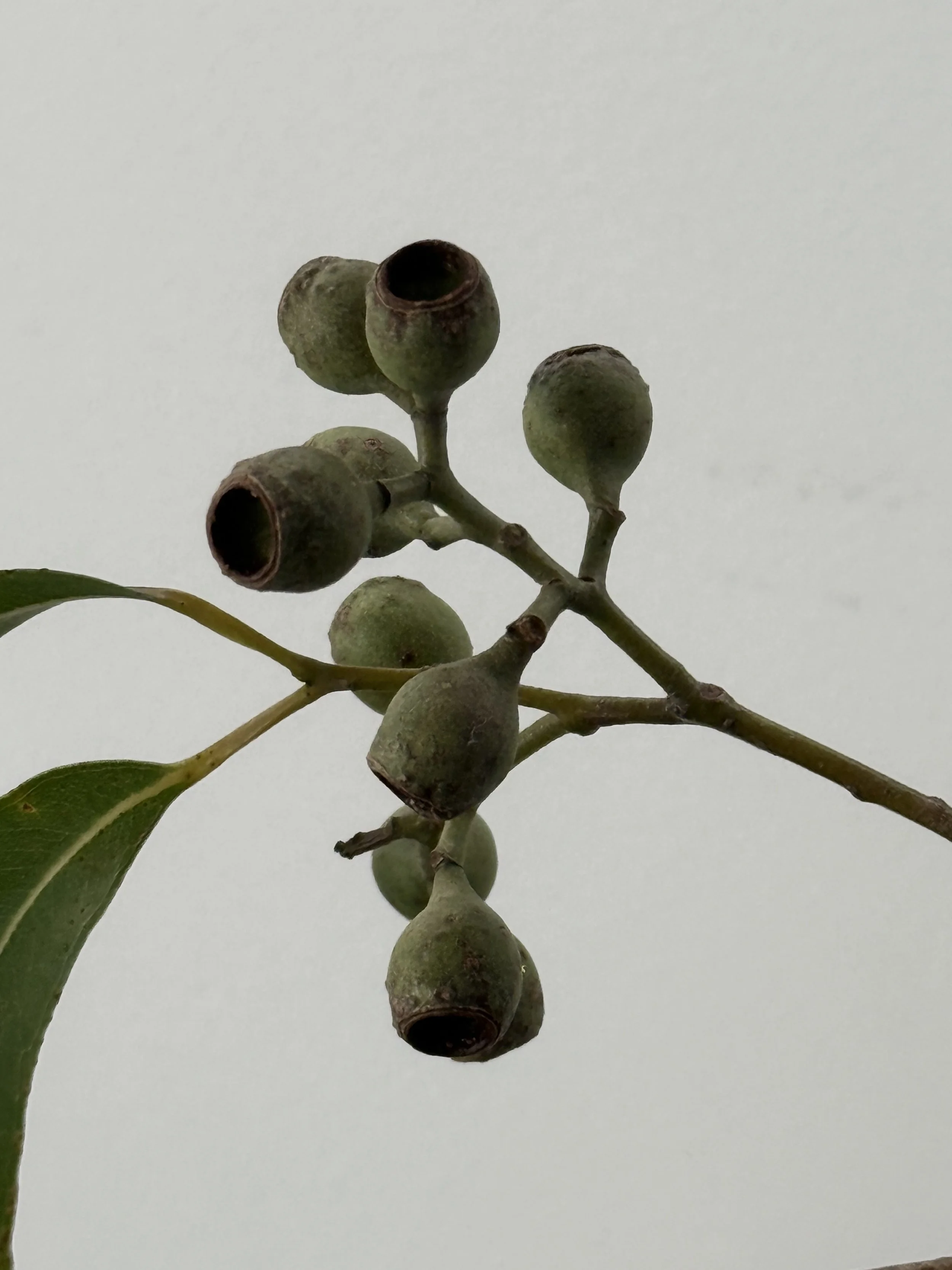 3-Minute “Trying New Things” Reset