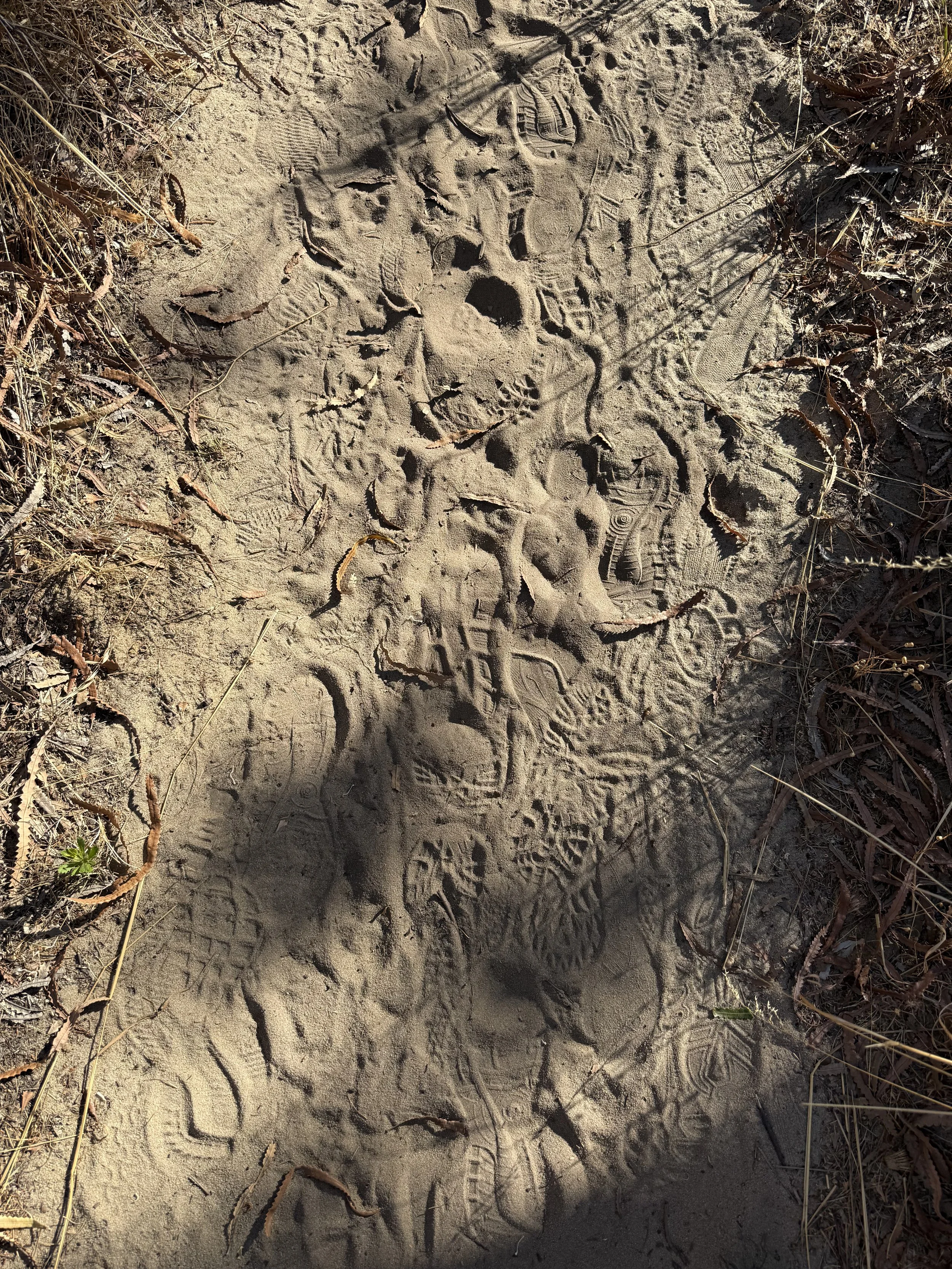 3-Minute Perspective Shifts Through Looking