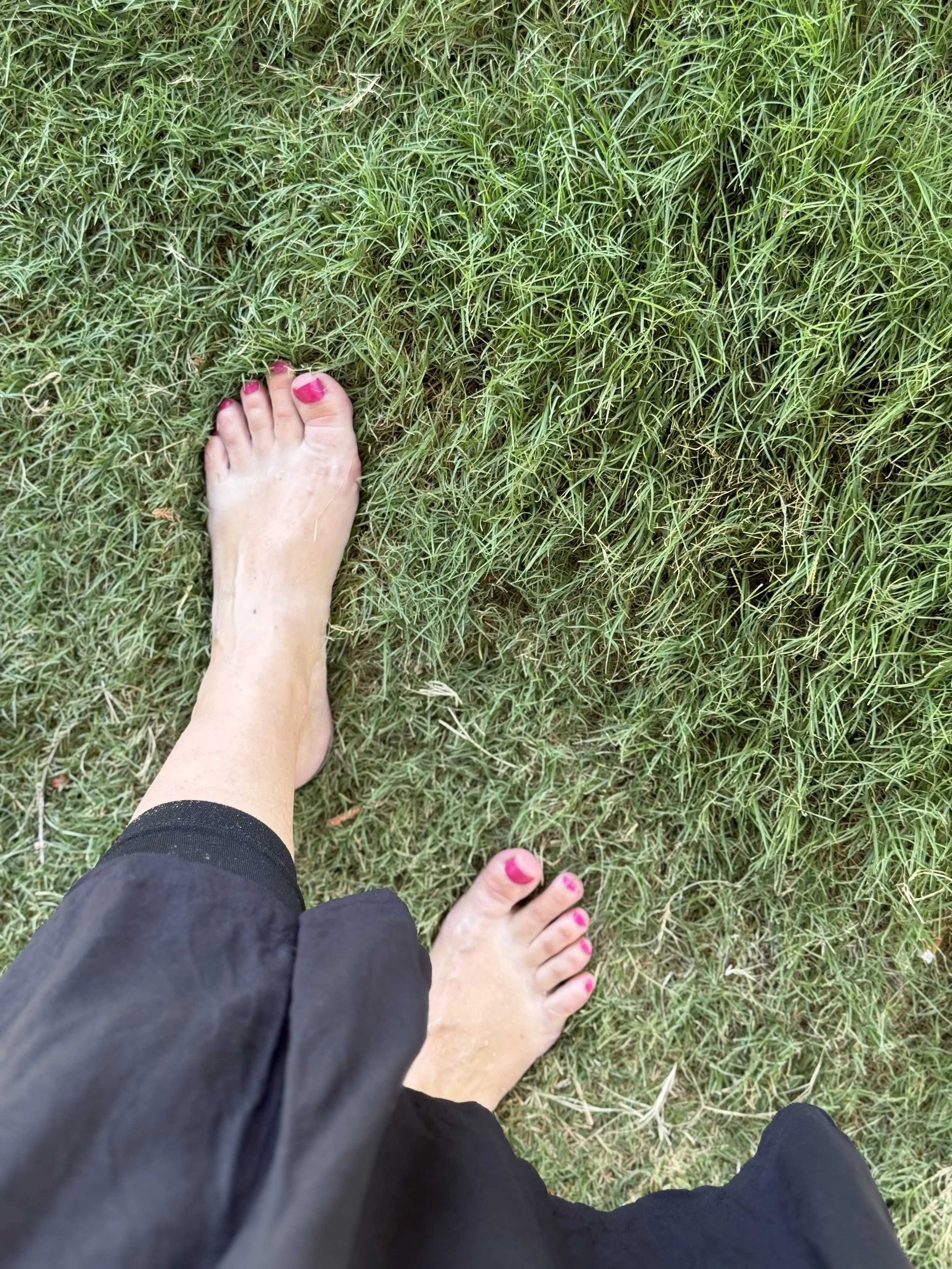 5-Minute Nature Connection Practice