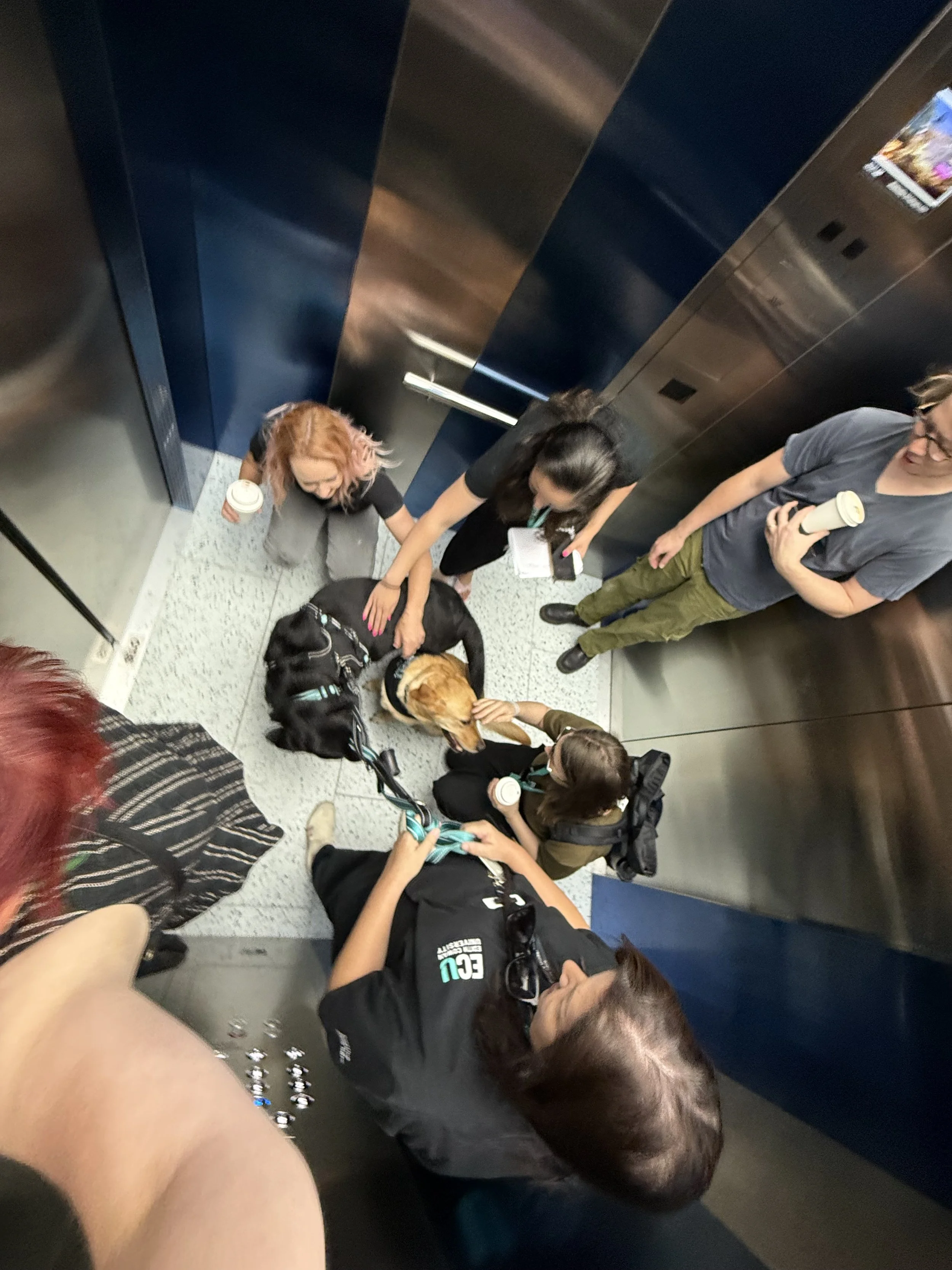 4-Minute Pace and Energy Audit