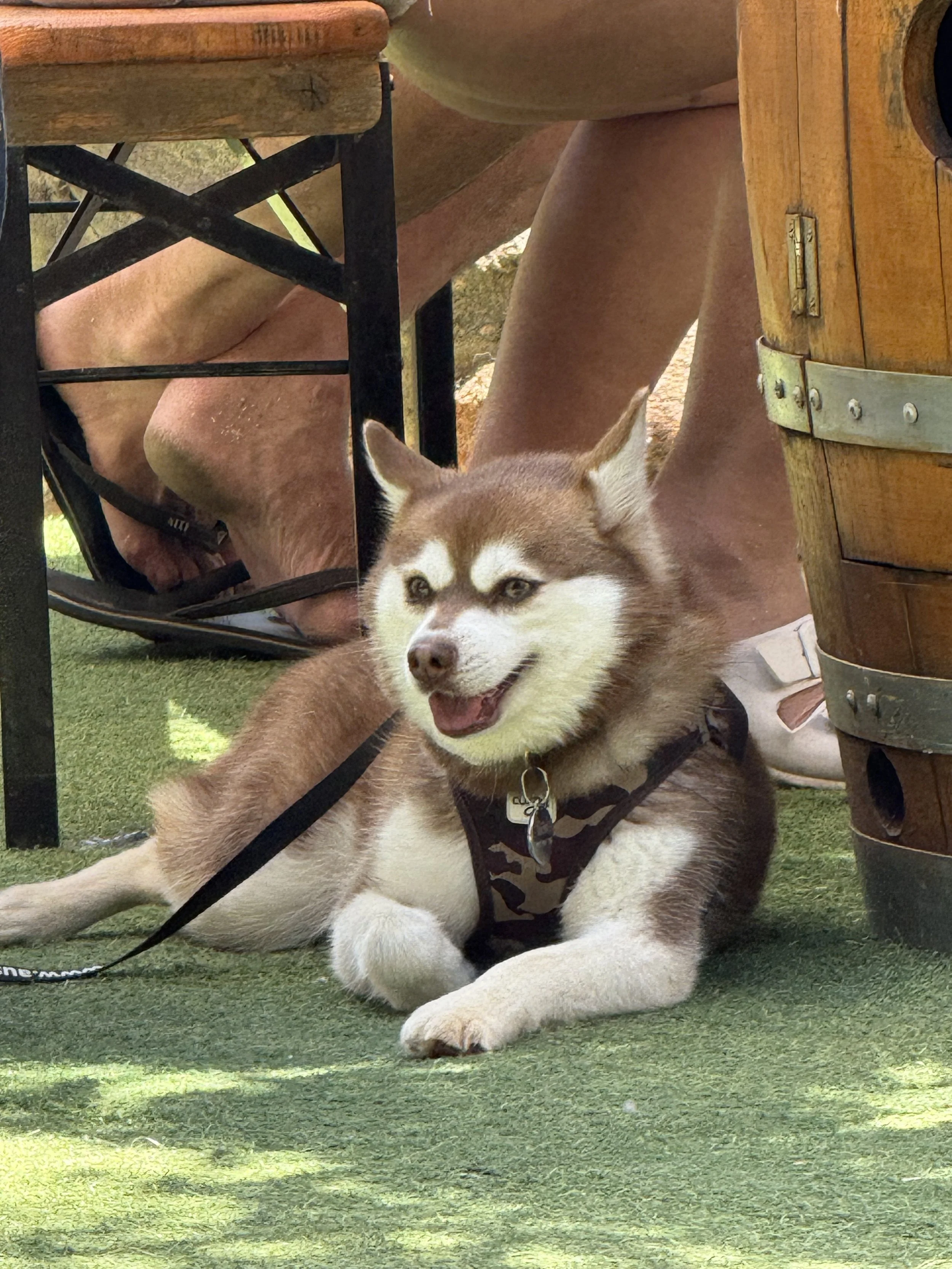 A weekly reset routine 