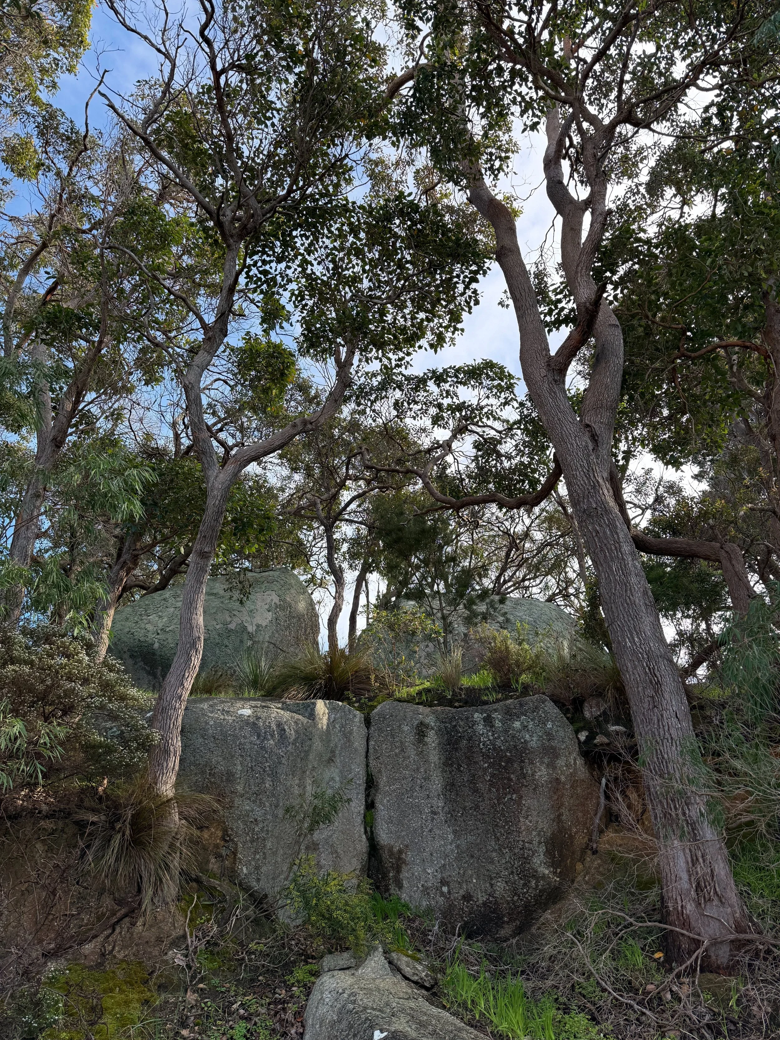 5-Minute Seasonal Country Connection