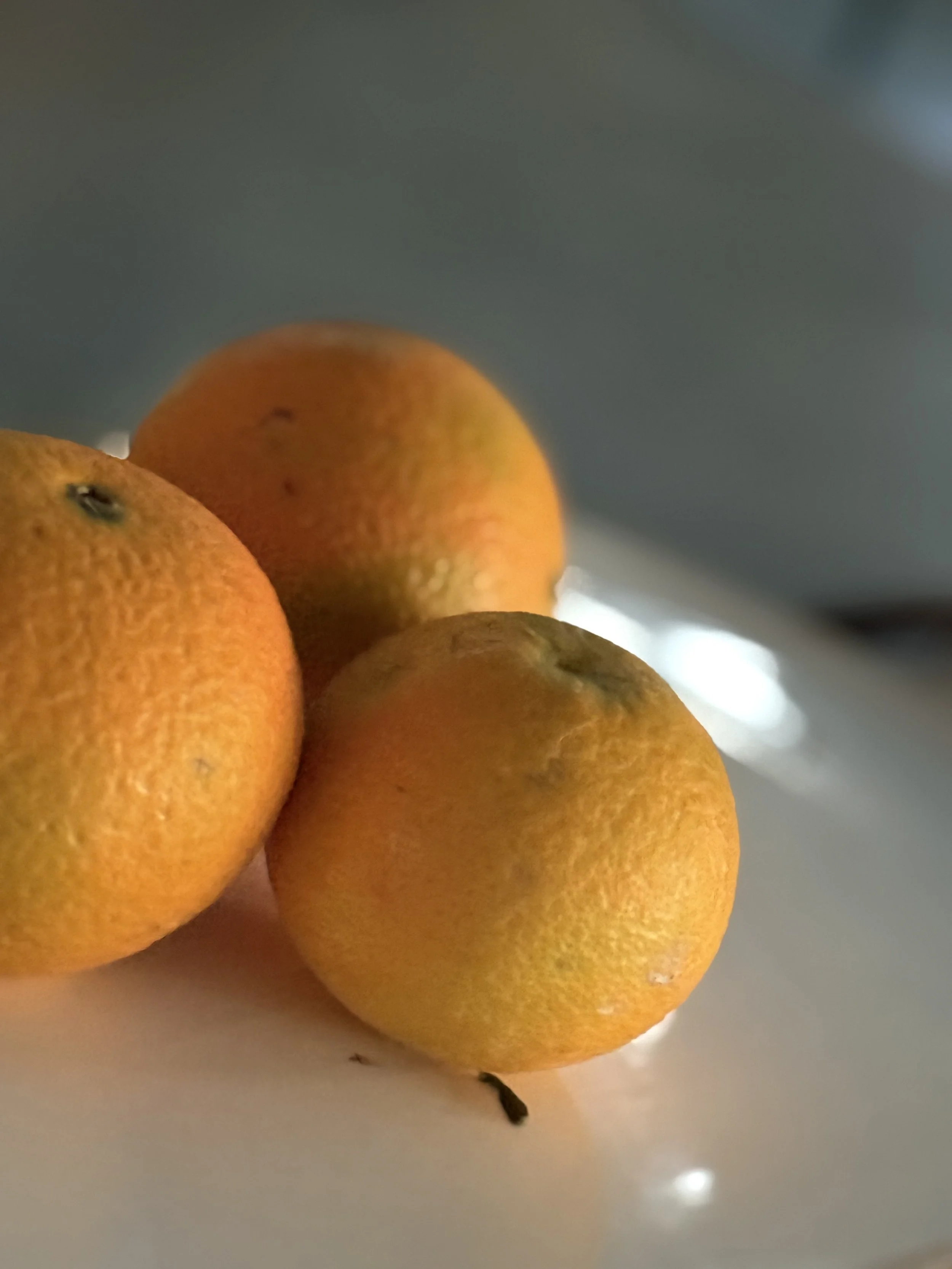 3-Minute Ripening Fruit Appreciation