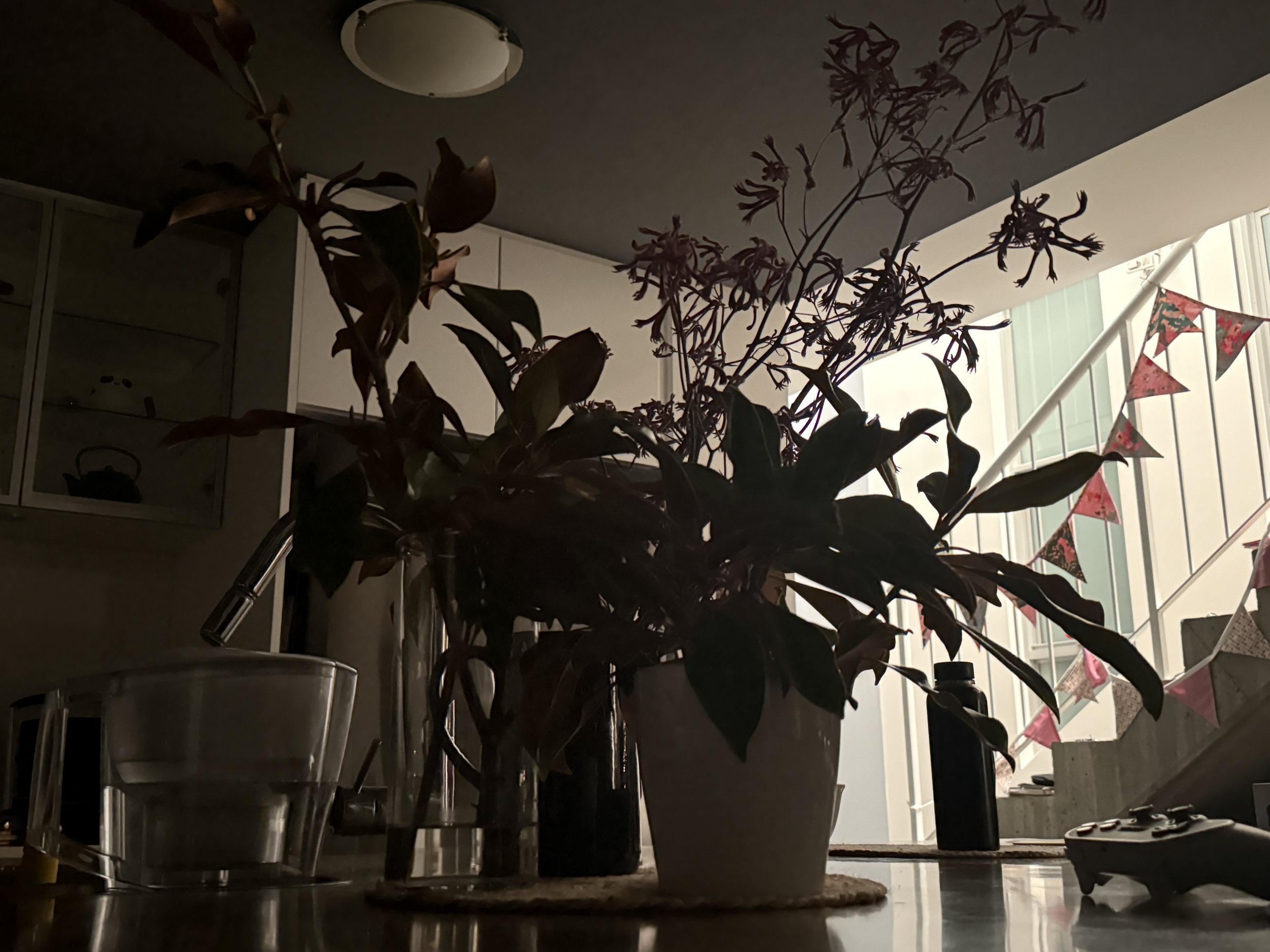 3-Minute Chaos to Calm Transition