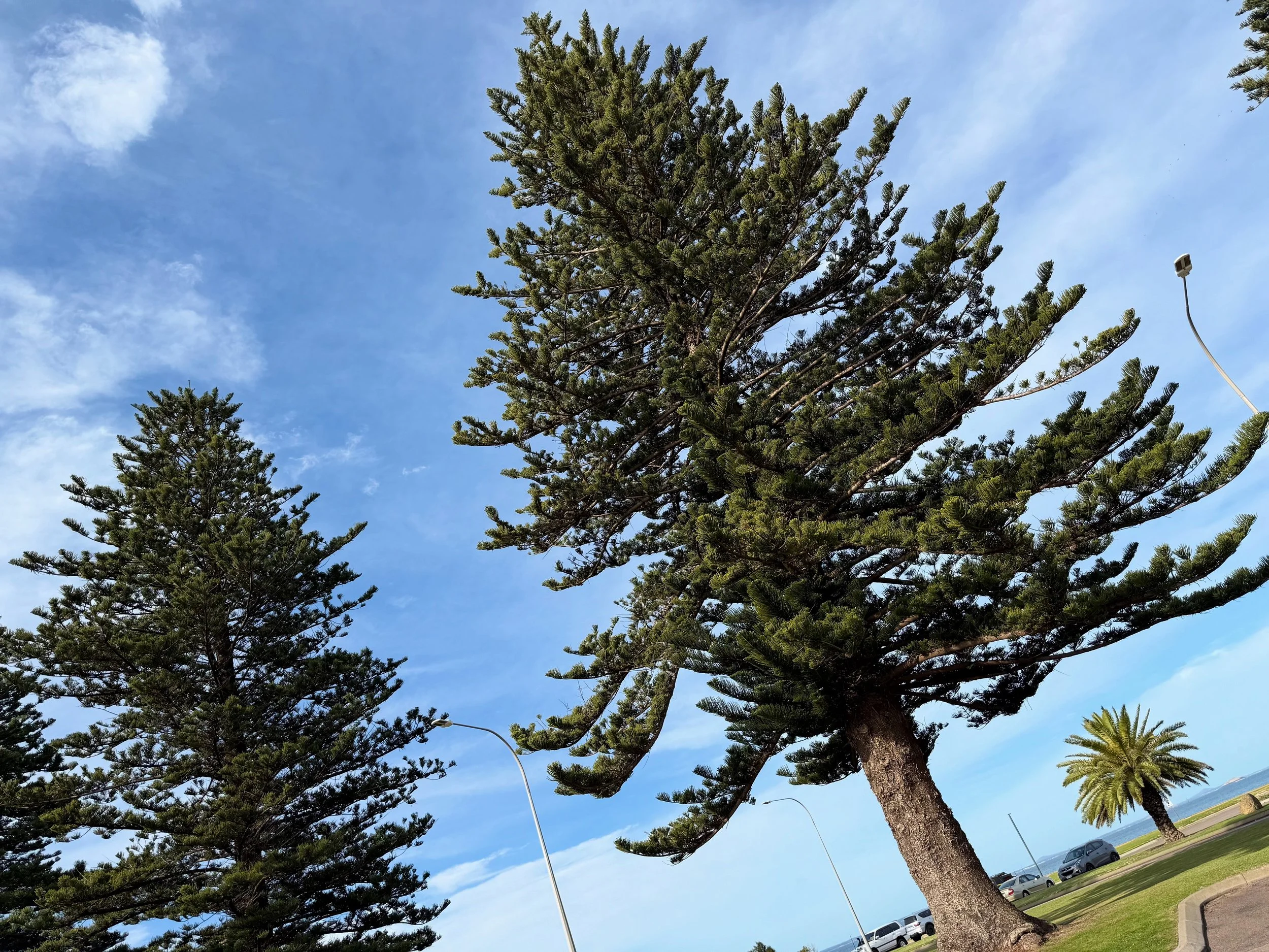 7-Minute Weekend-to-Week Self-Care Bridge