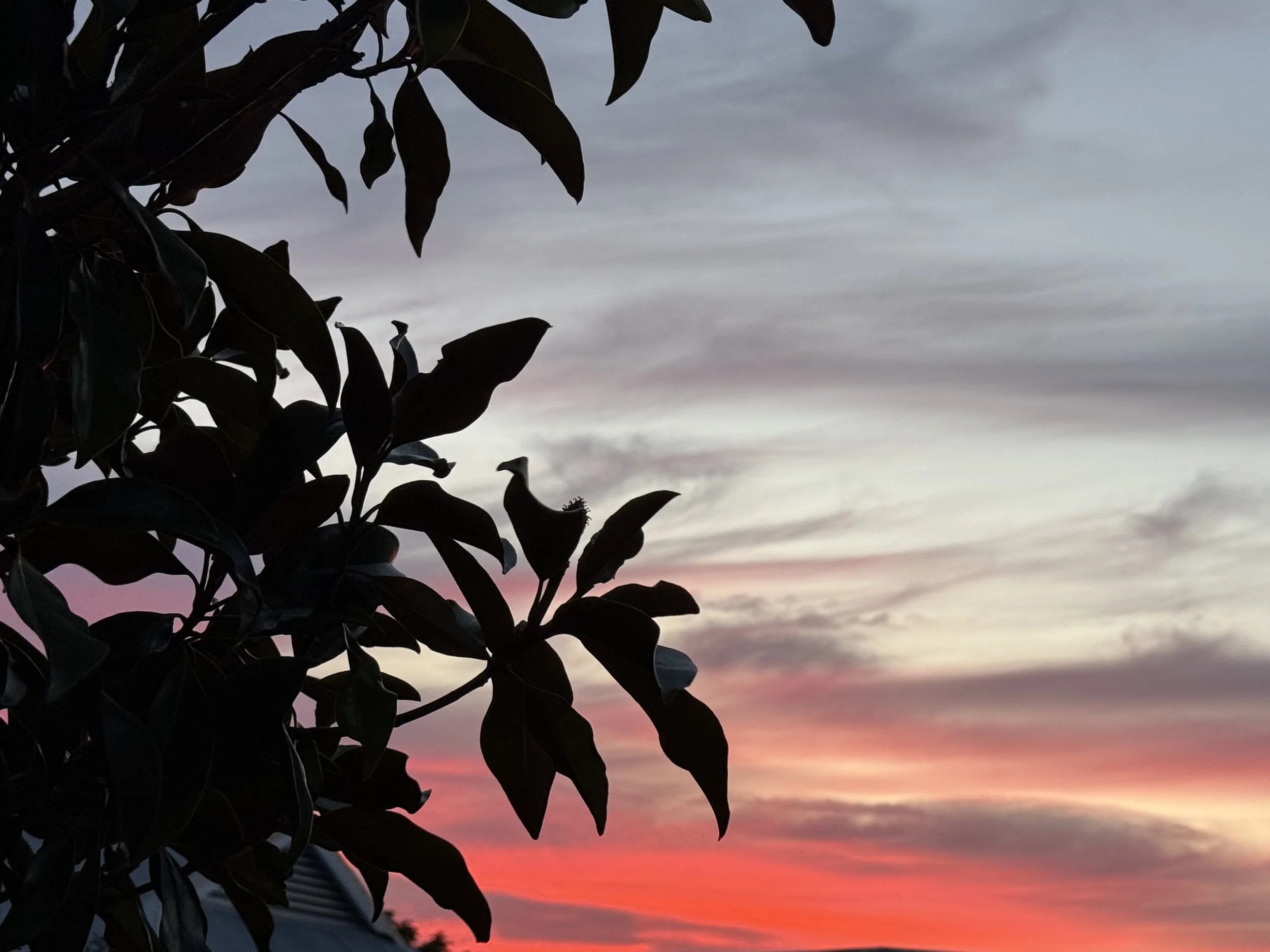 3-Minute Attuned Authenticity Practice