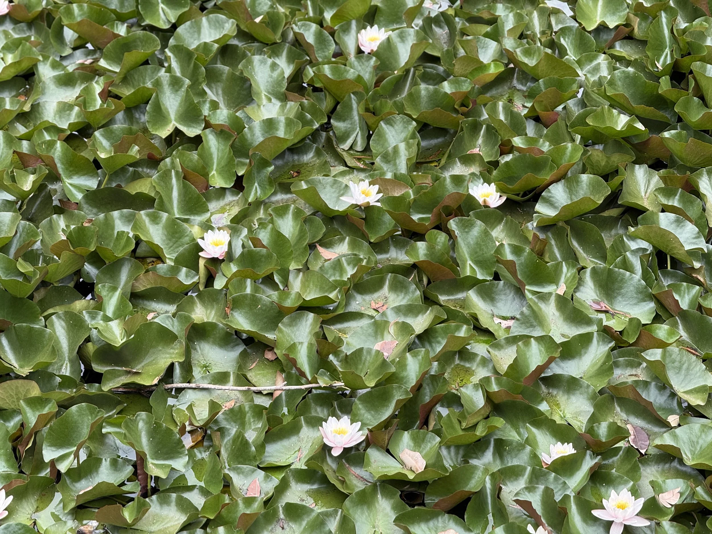 3-Minute Small Wins Practice