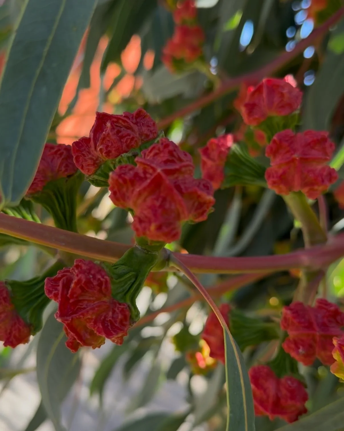 3-Minute Kindness Ripples