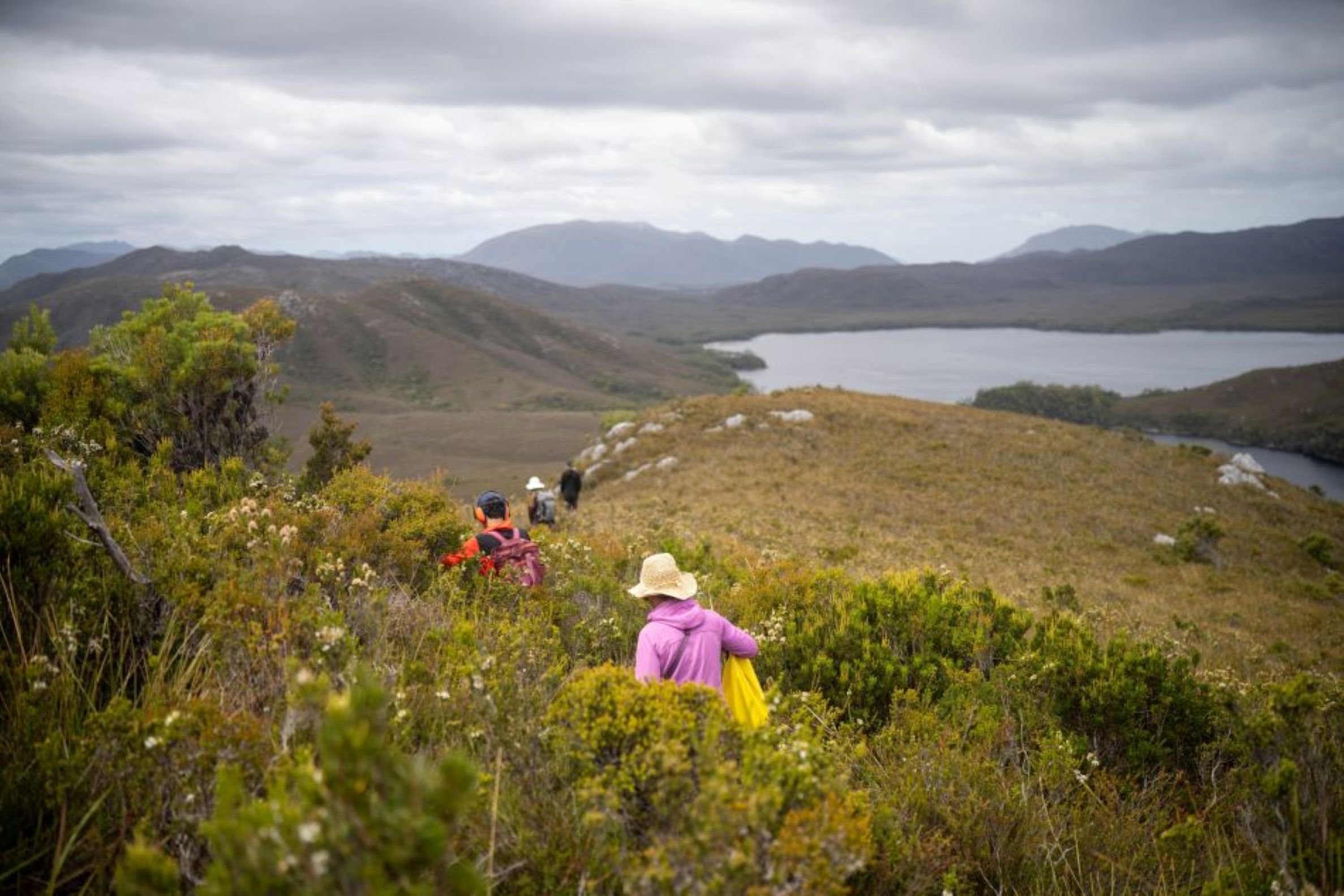 Purpose in Life: The Overlooked Factor in Healthy Ageing