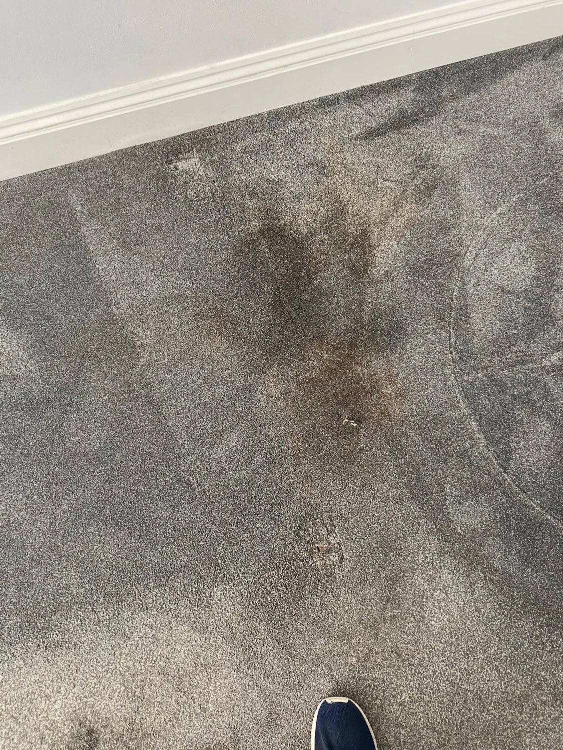 Jamie's Carpet Cleaning - Before 3.jpeg