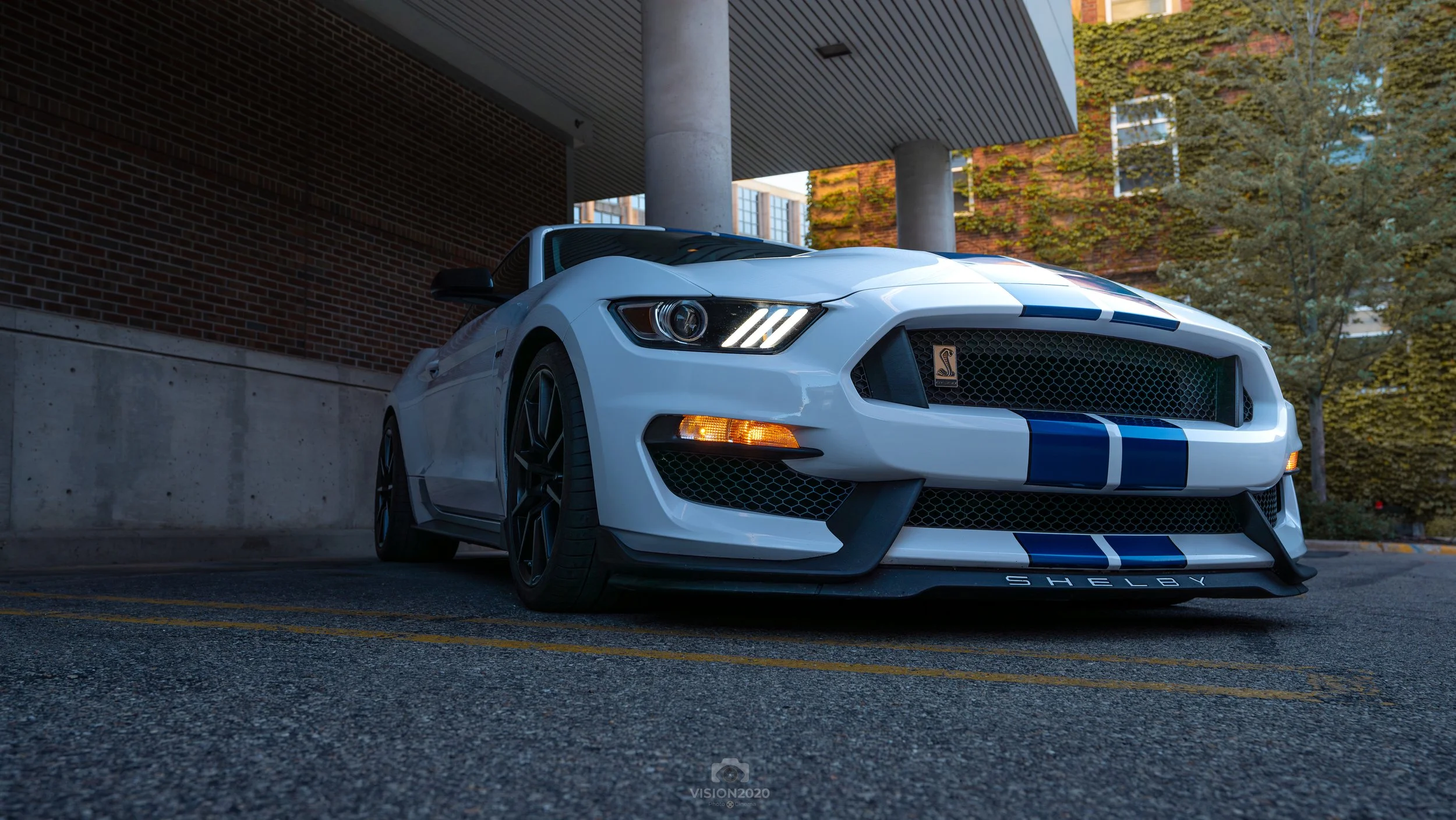 GT350F-5.JPG