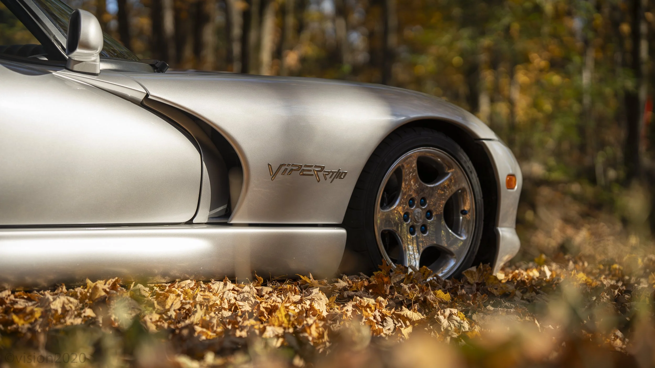Viper Fall 2025-3.jpg
