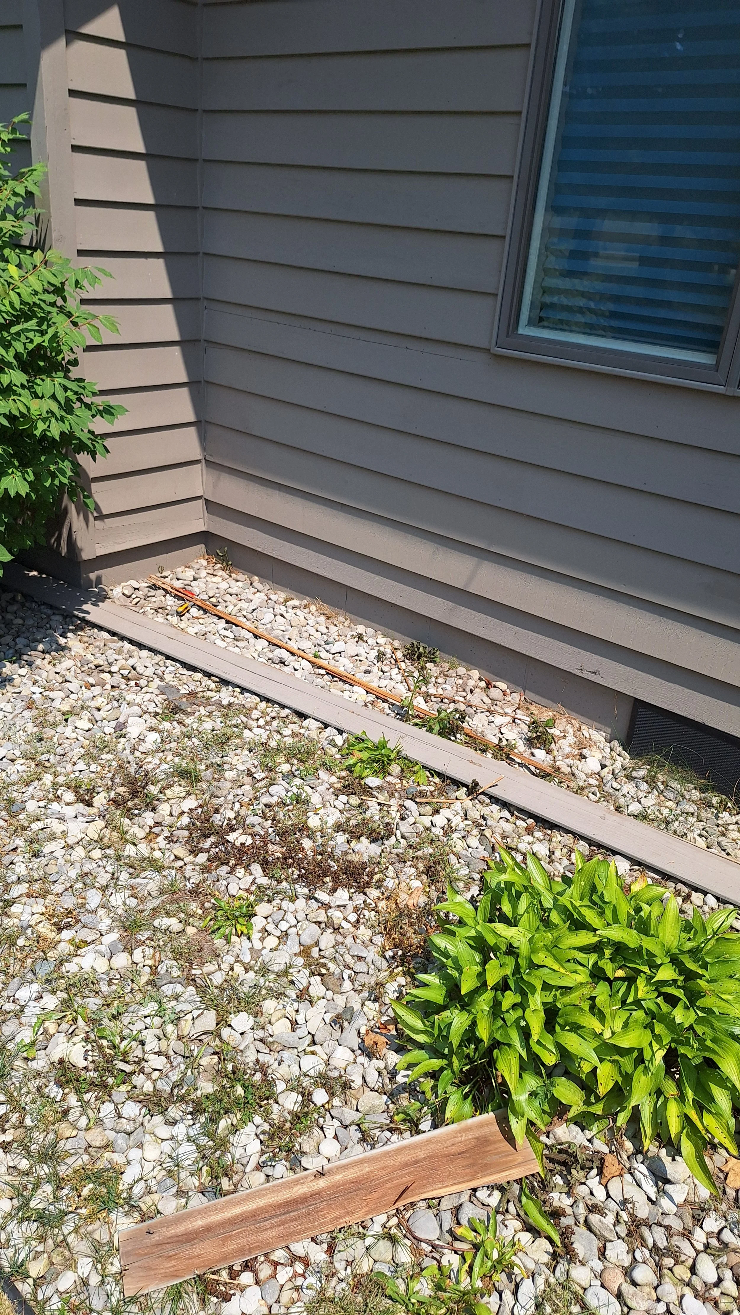 Corner of a building with beige siding, small window, garden with green bushes, and gravel ground covering.