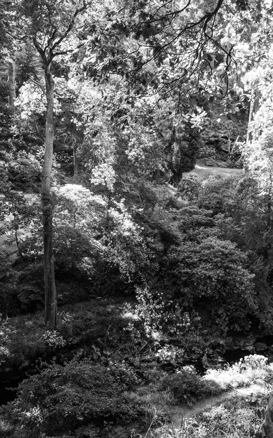 Bodnant  Gardens bw -4.jpg
