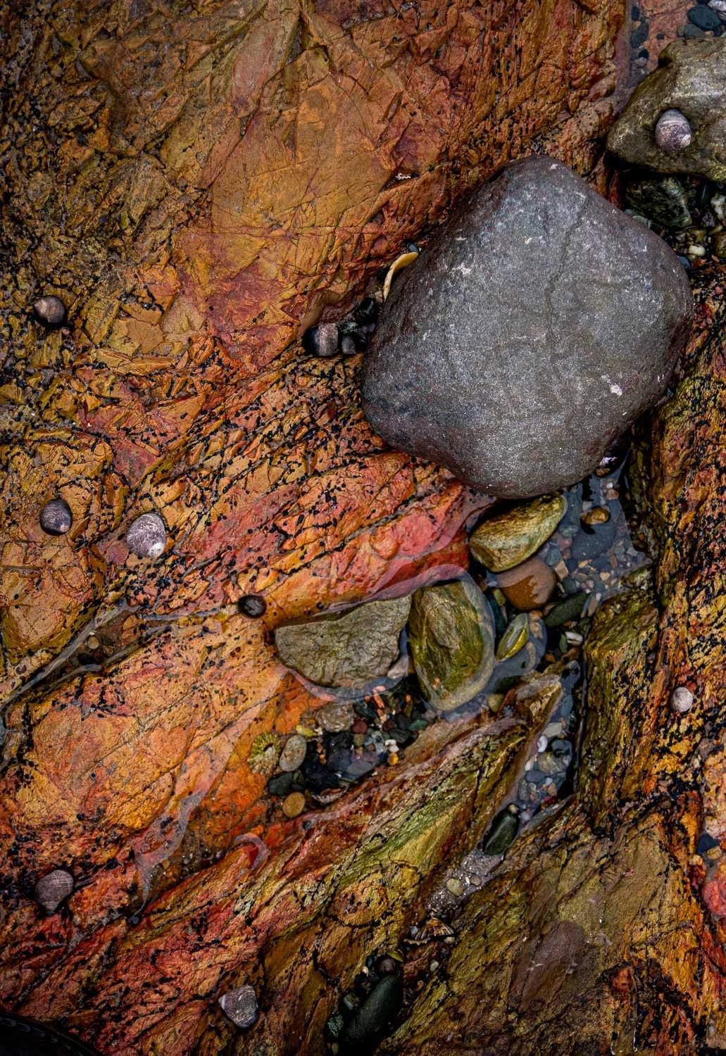 Church BayRock Pools -70.jpg