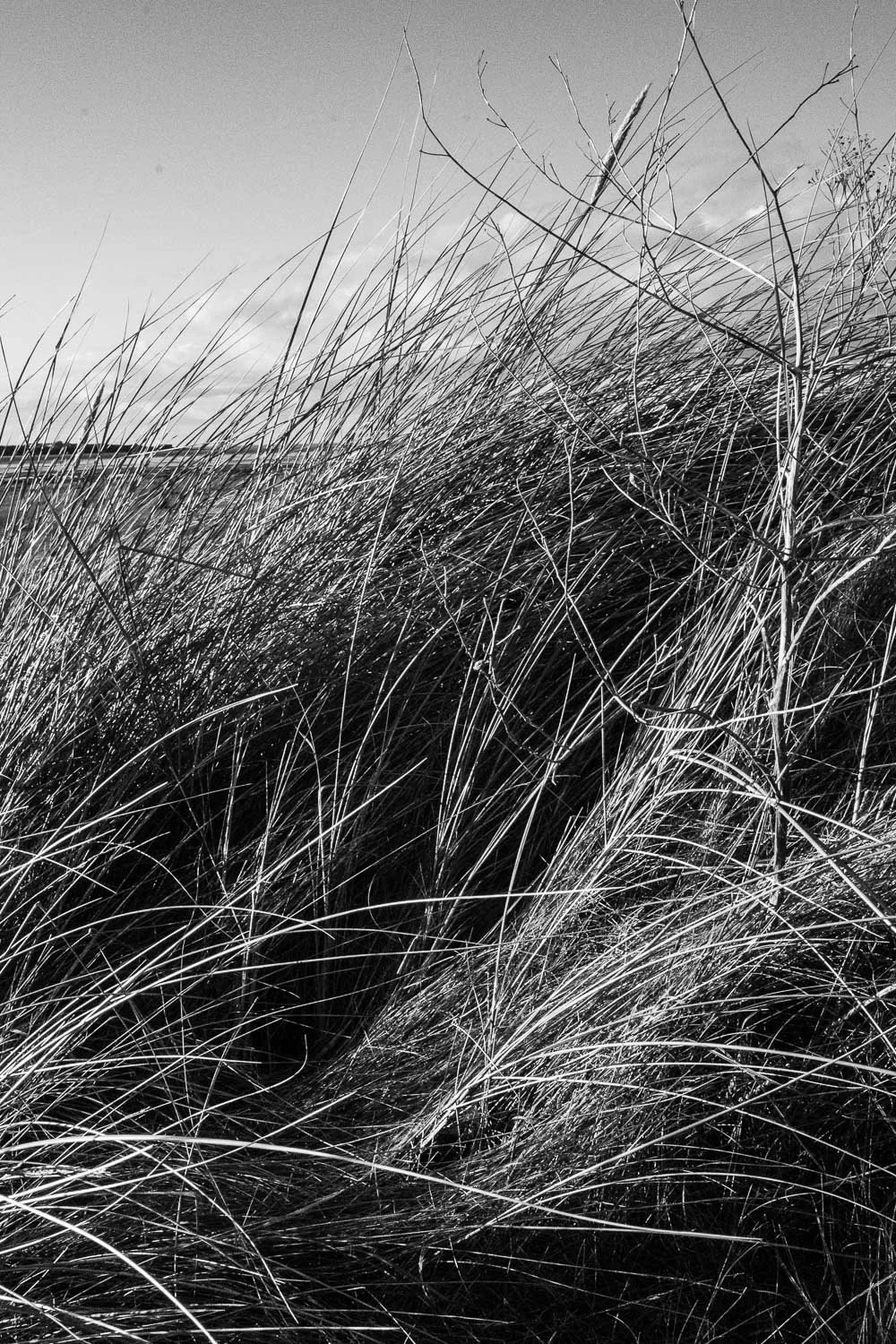 final fixed grases and dunes westkirby-2.jpg