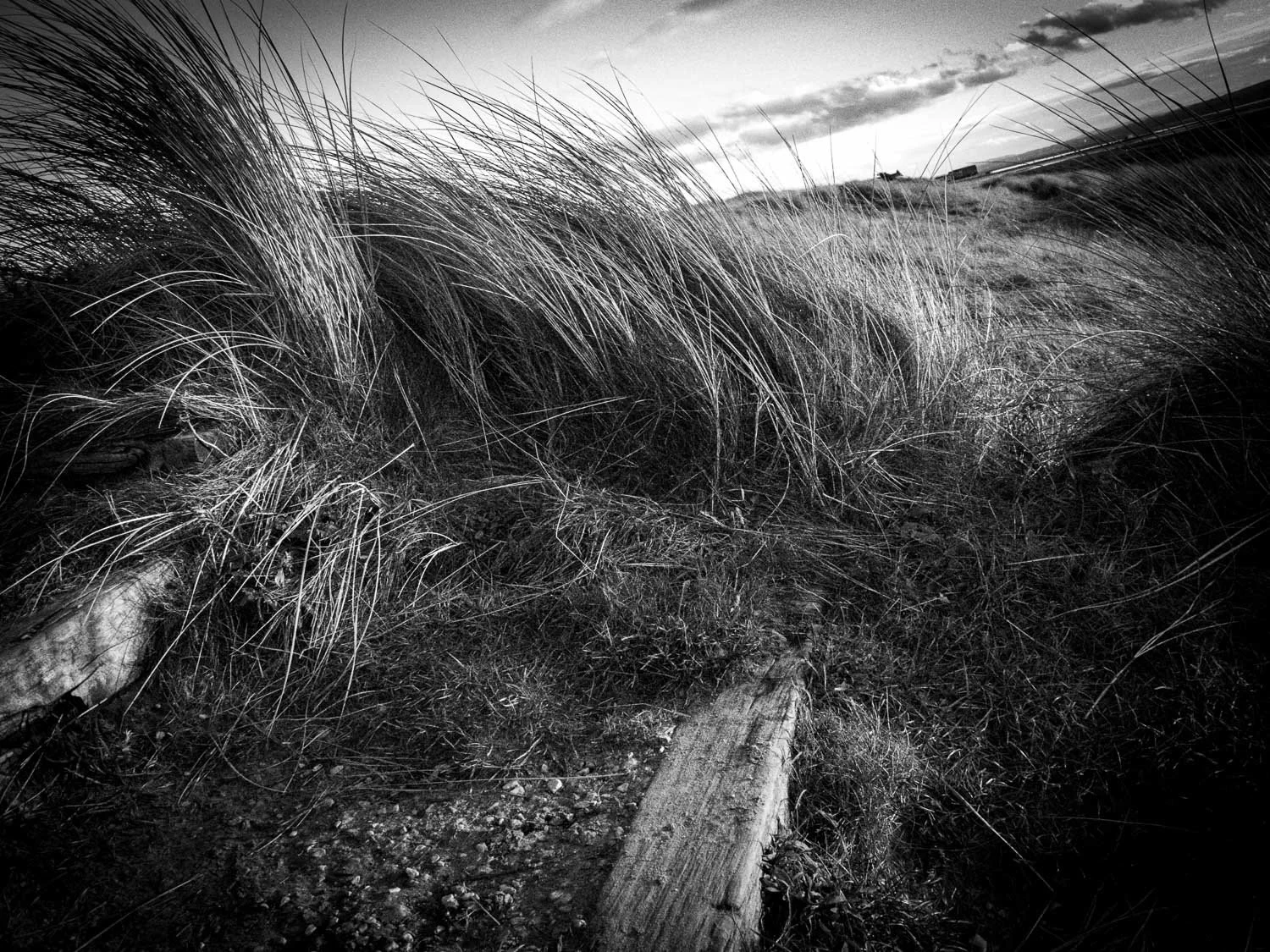 final fixed grases and dunes westkirby-8.jpg