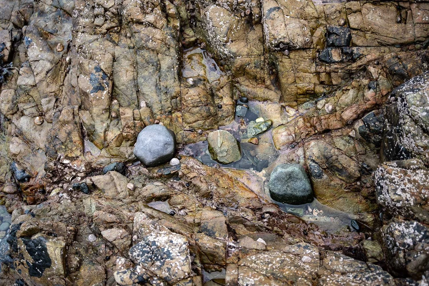 Church BayRock Pools -62.jpg