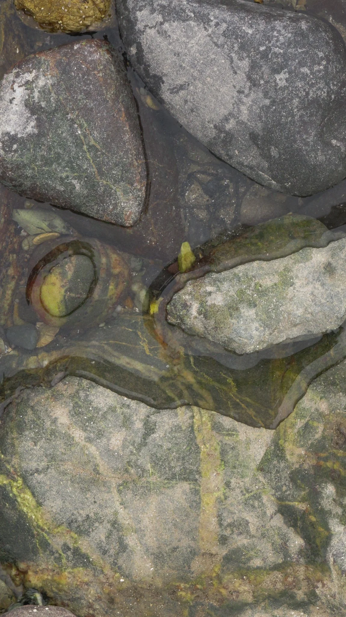 Church bay Anglesey
October 2025
Rock formation and Rock pools