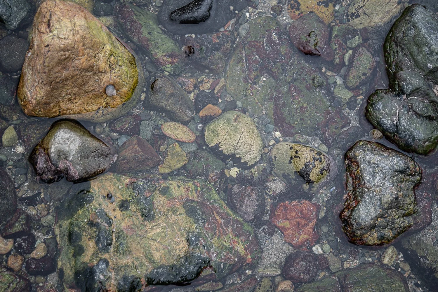 Church bay Anglesy PEBBLES-33.jpg
