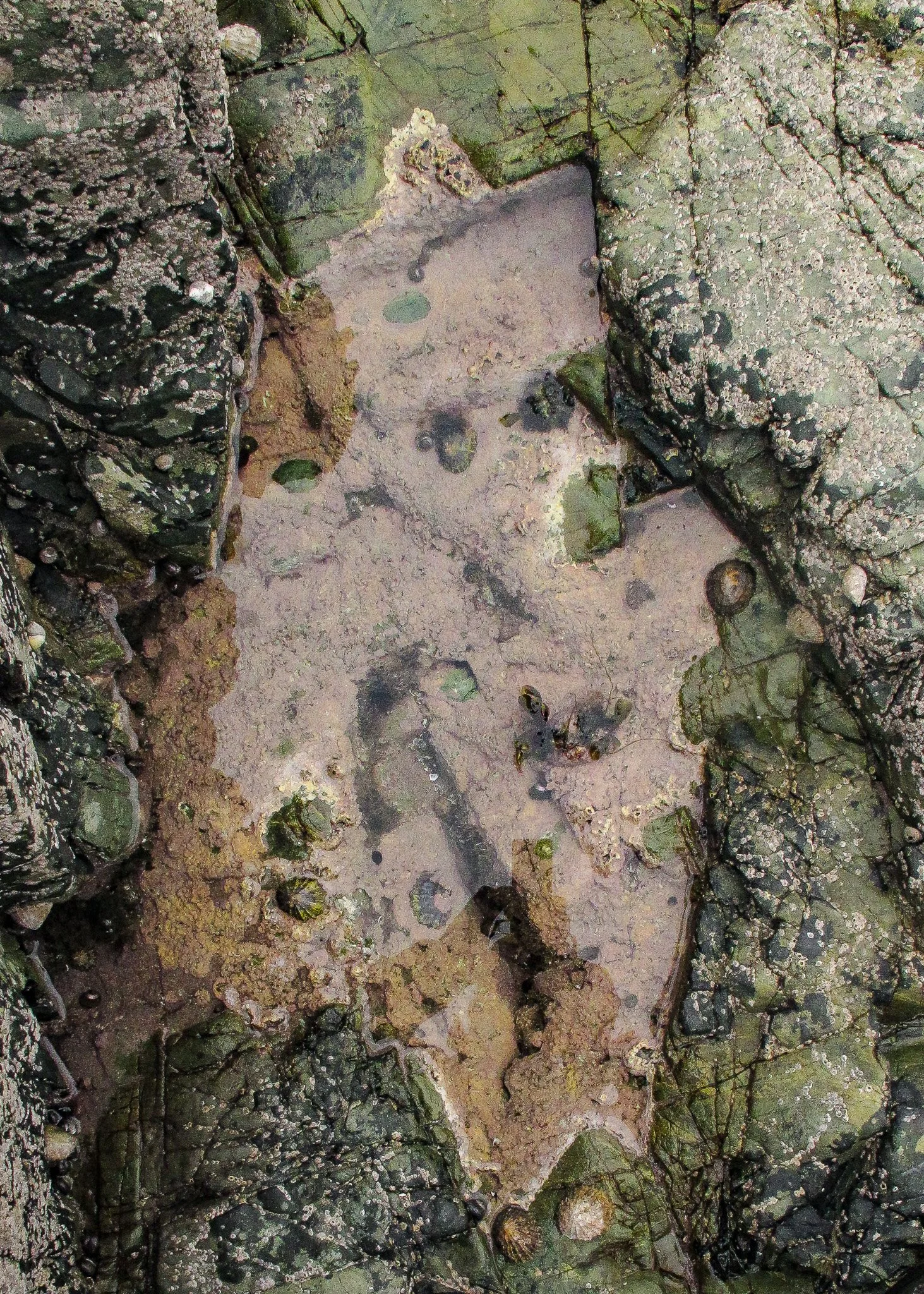 Church bay Anglesey
October 2025
Rock formation and Rock pools