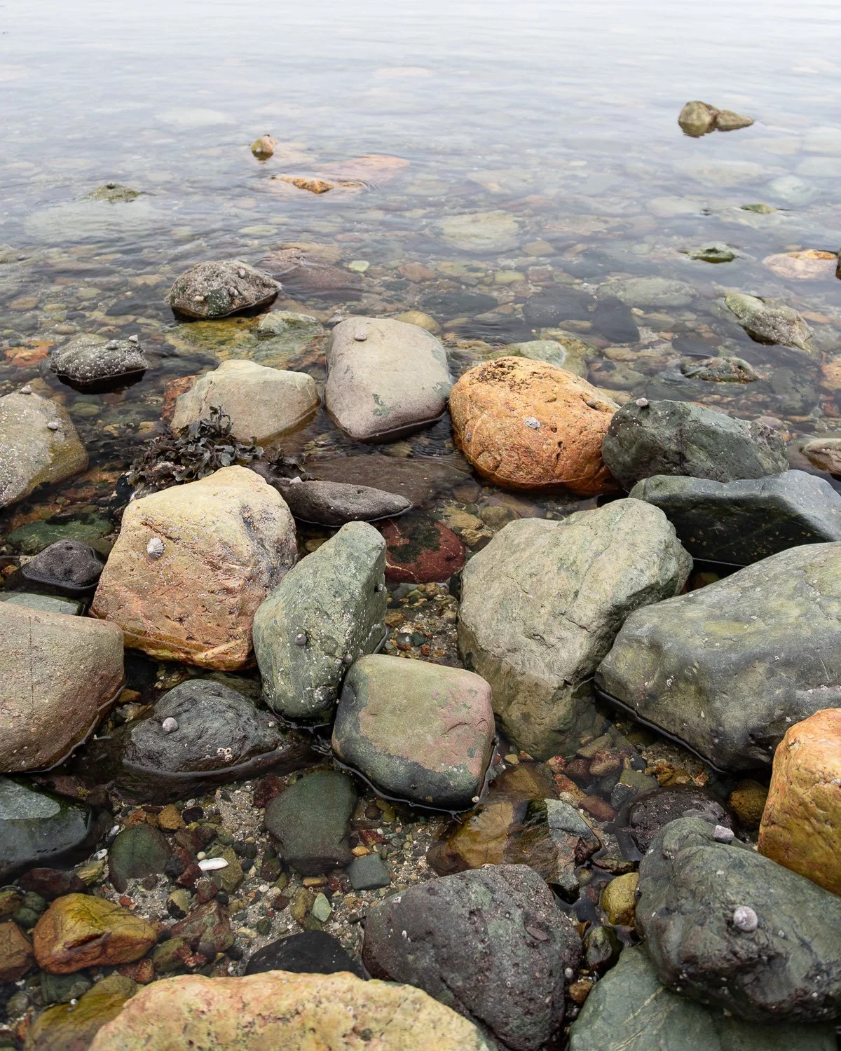 Church bay Anglesy PEBBLES-30.jpg