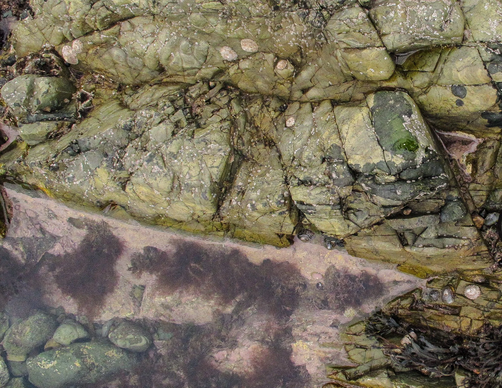 Church bay Anglesey
October 2025
Rock formation and Rock pools