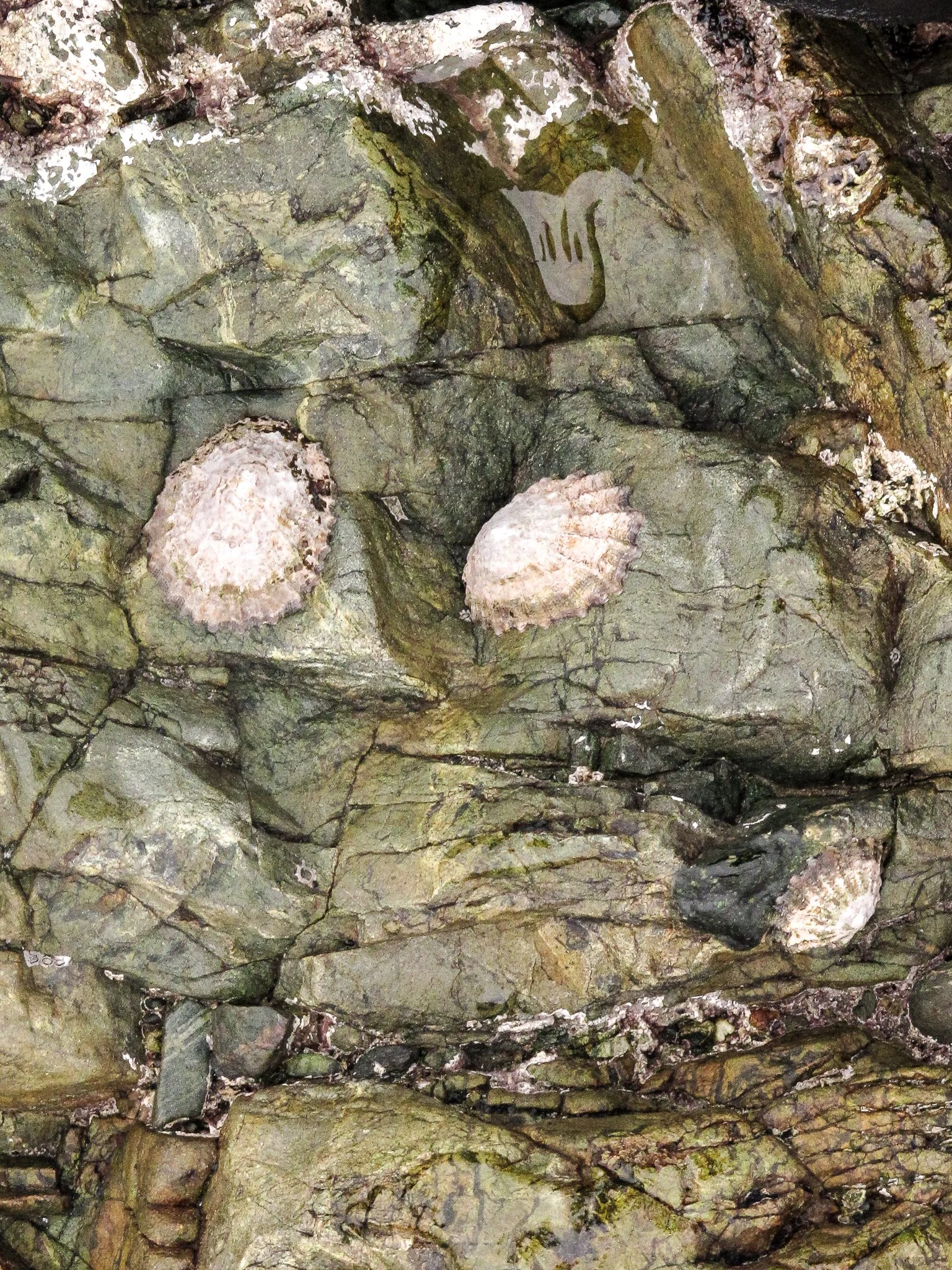 Church bay Anglesey
October 2025
Rock formation and Rock pools