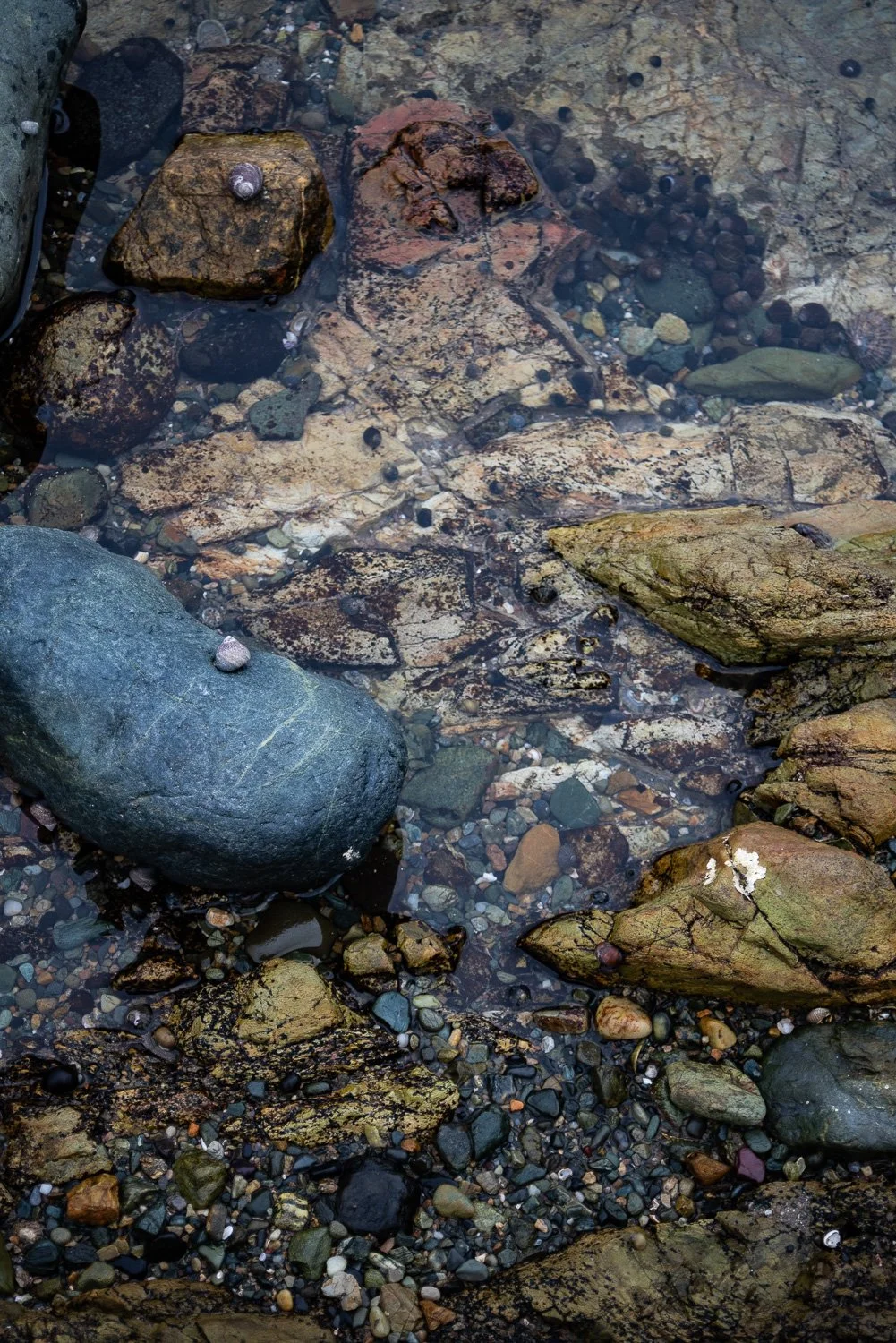 Church bay Anglesy PEBBLES-20.jpg