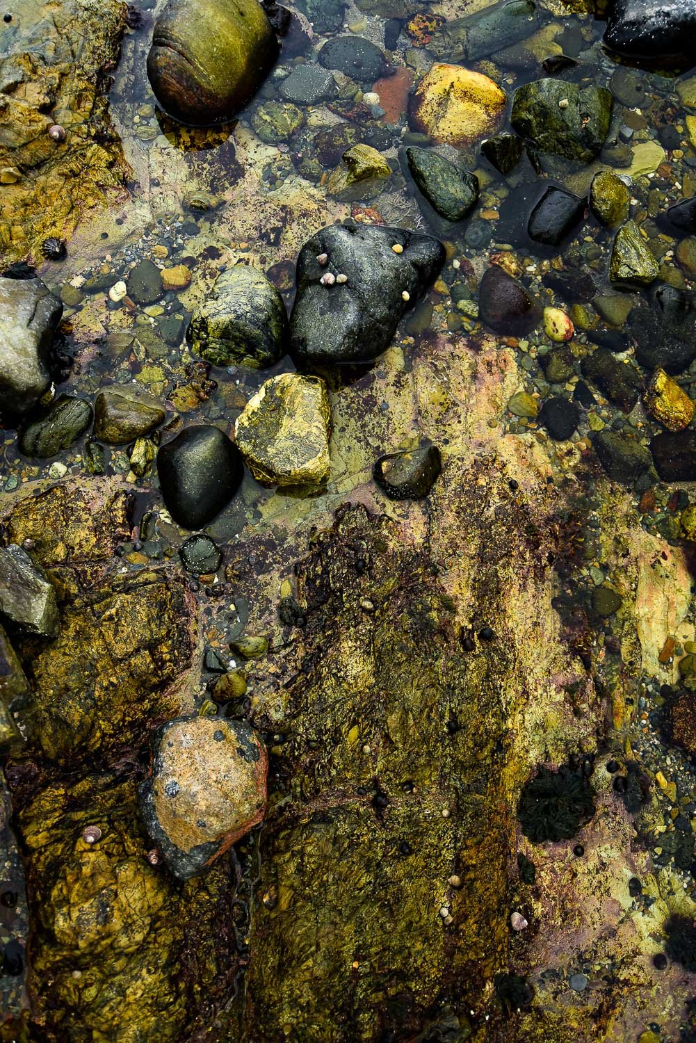 Church BayRock Pools -60.jpg