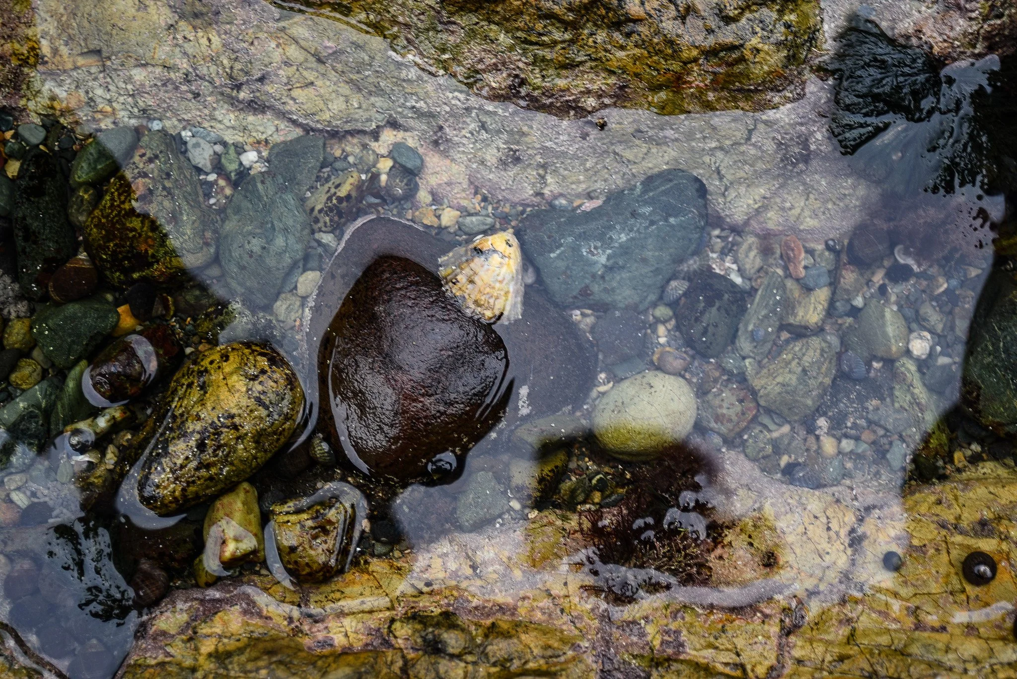 Church bay Anglesey
October 2025
Rock formation and Rock pools