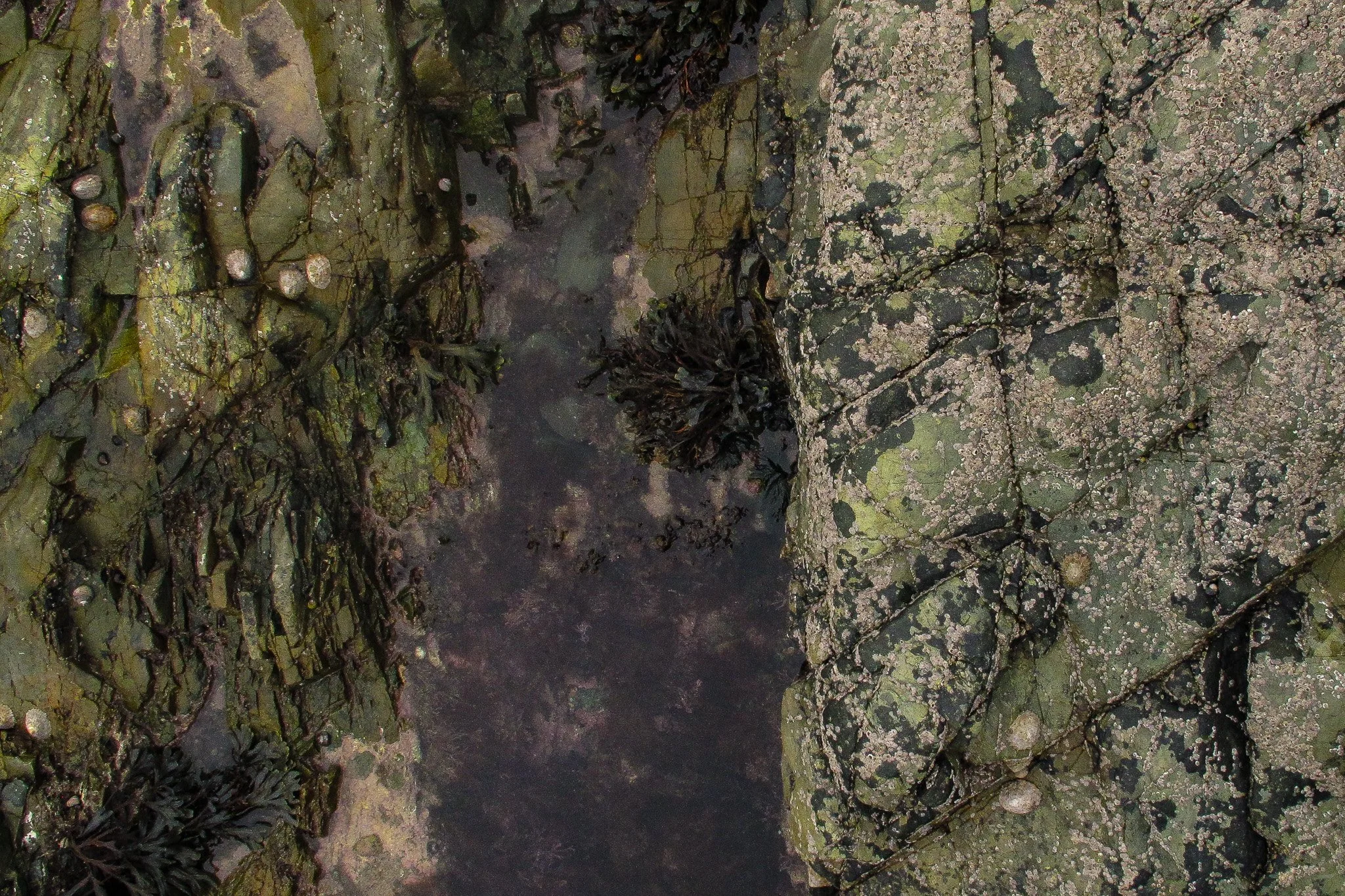 Church bay Anglesey
October 2025
Rock formation and Rock pools
